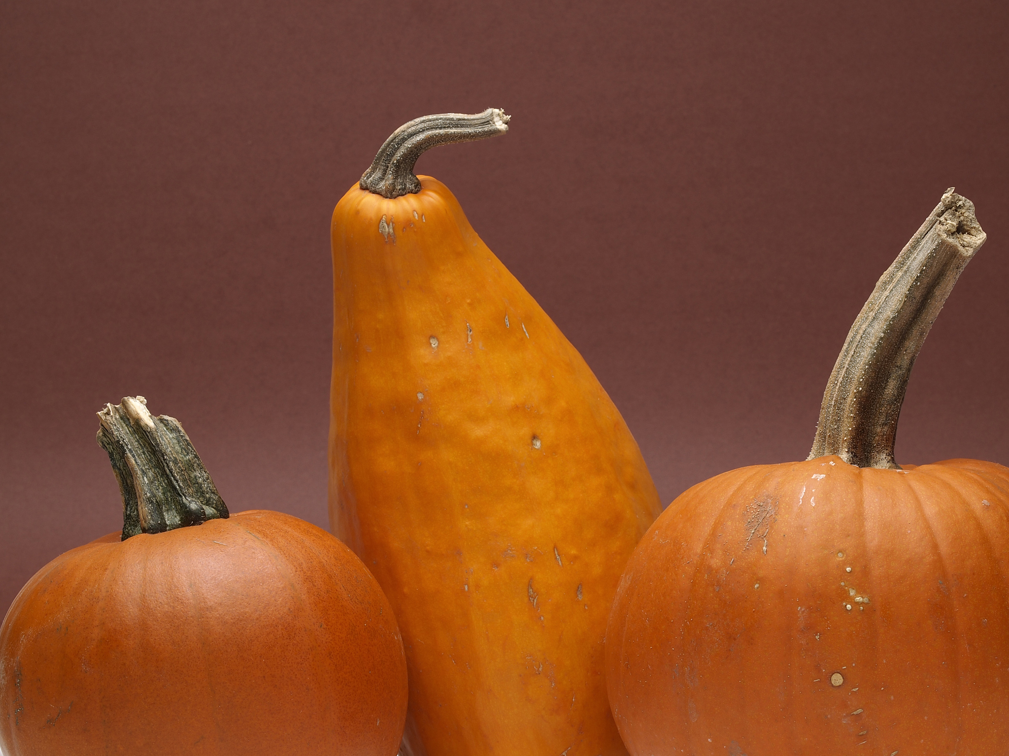 南瓜、植物基酸奶、大豆产品名大全：30个创意谐音任你选