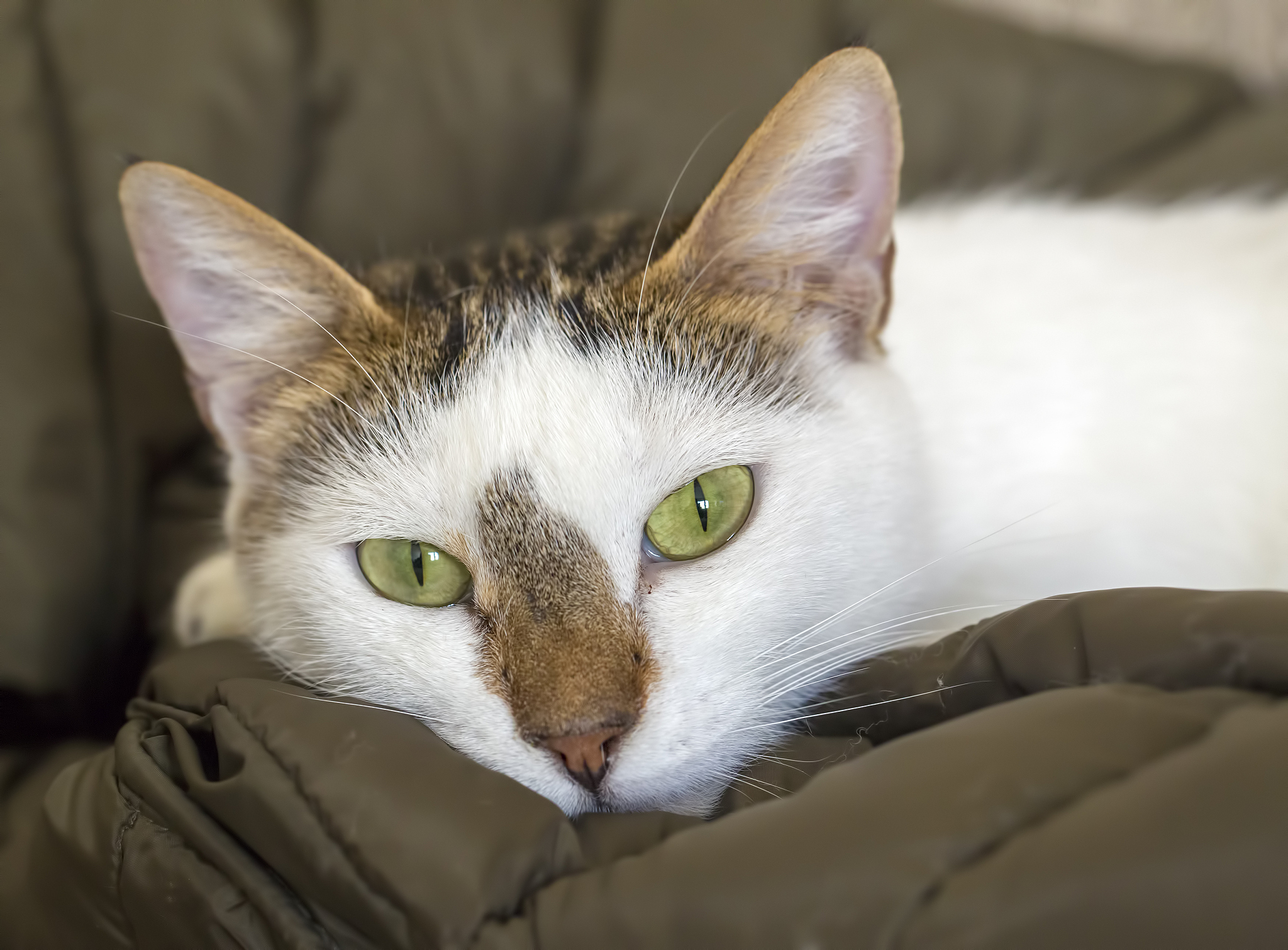 北京农业职业学院兽医医药专业怎么样