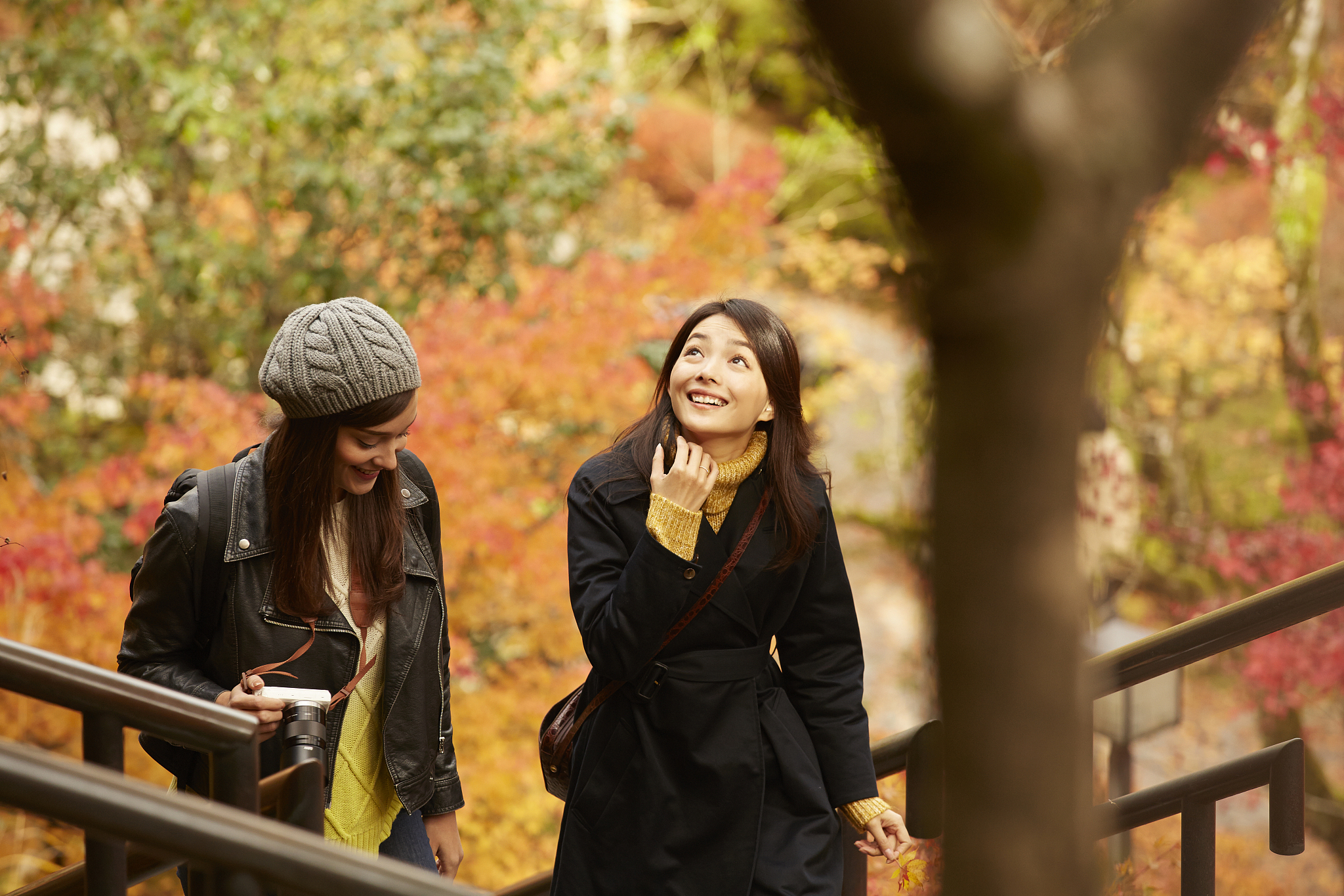 女性 女 女人