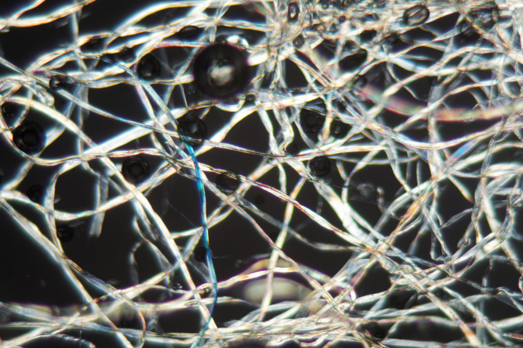 探索纤维切片技术的应用