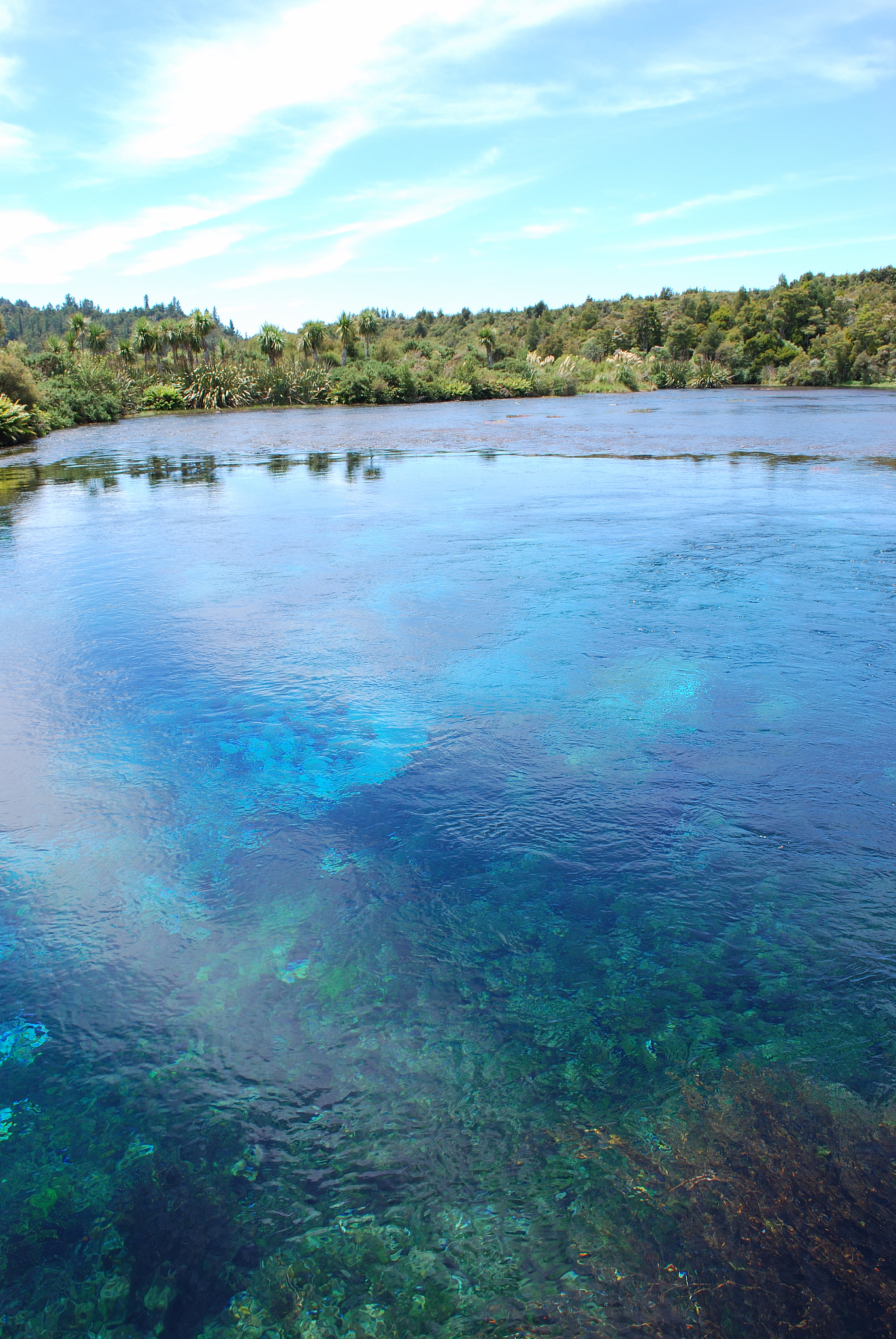 te waikoropupu springs (pupu), golden bay, nz