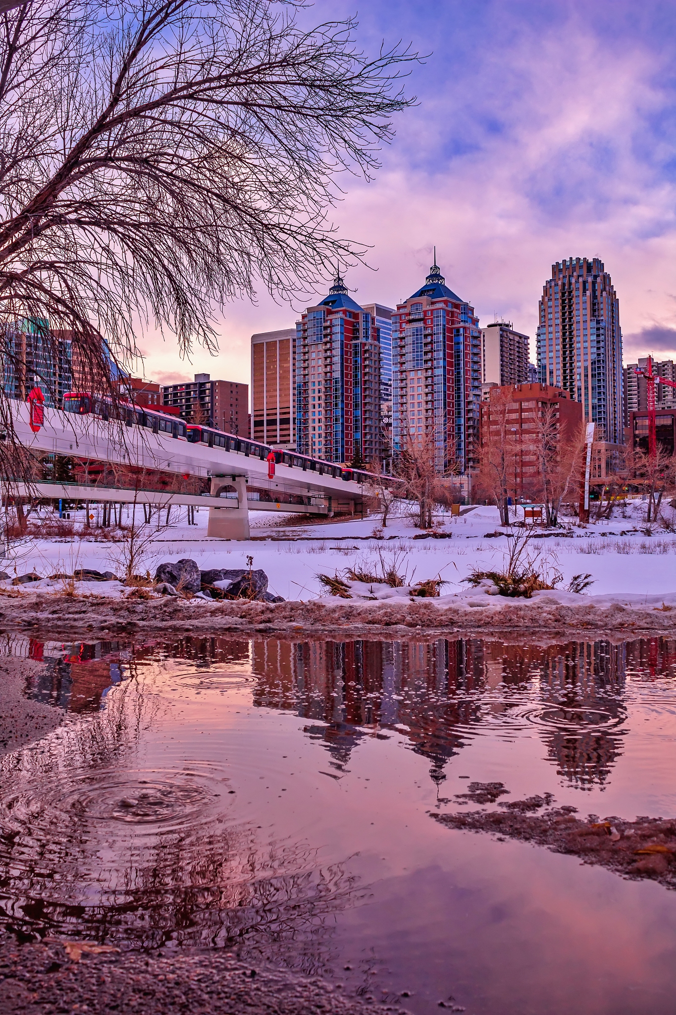 city puddle reflections
