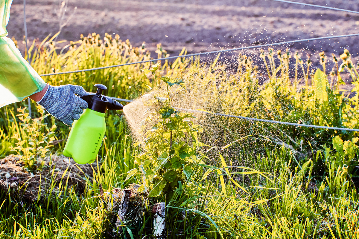 高效除草剂，打造完美花园