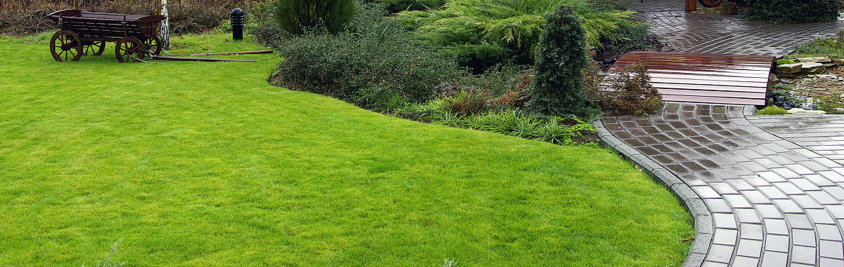 风景园林设计专业好就业吗？用