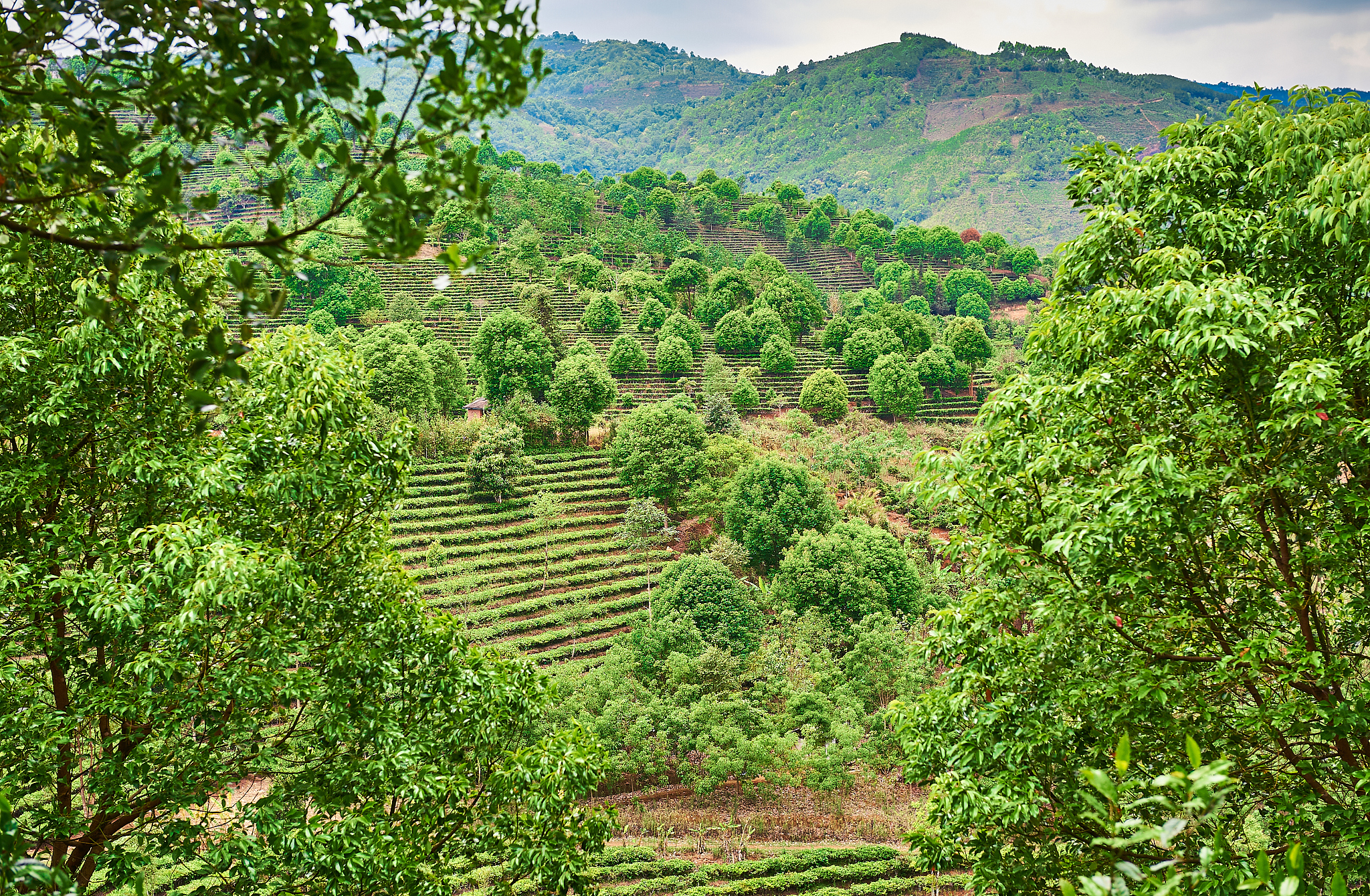 云南2021年有哪些收卫校的大专