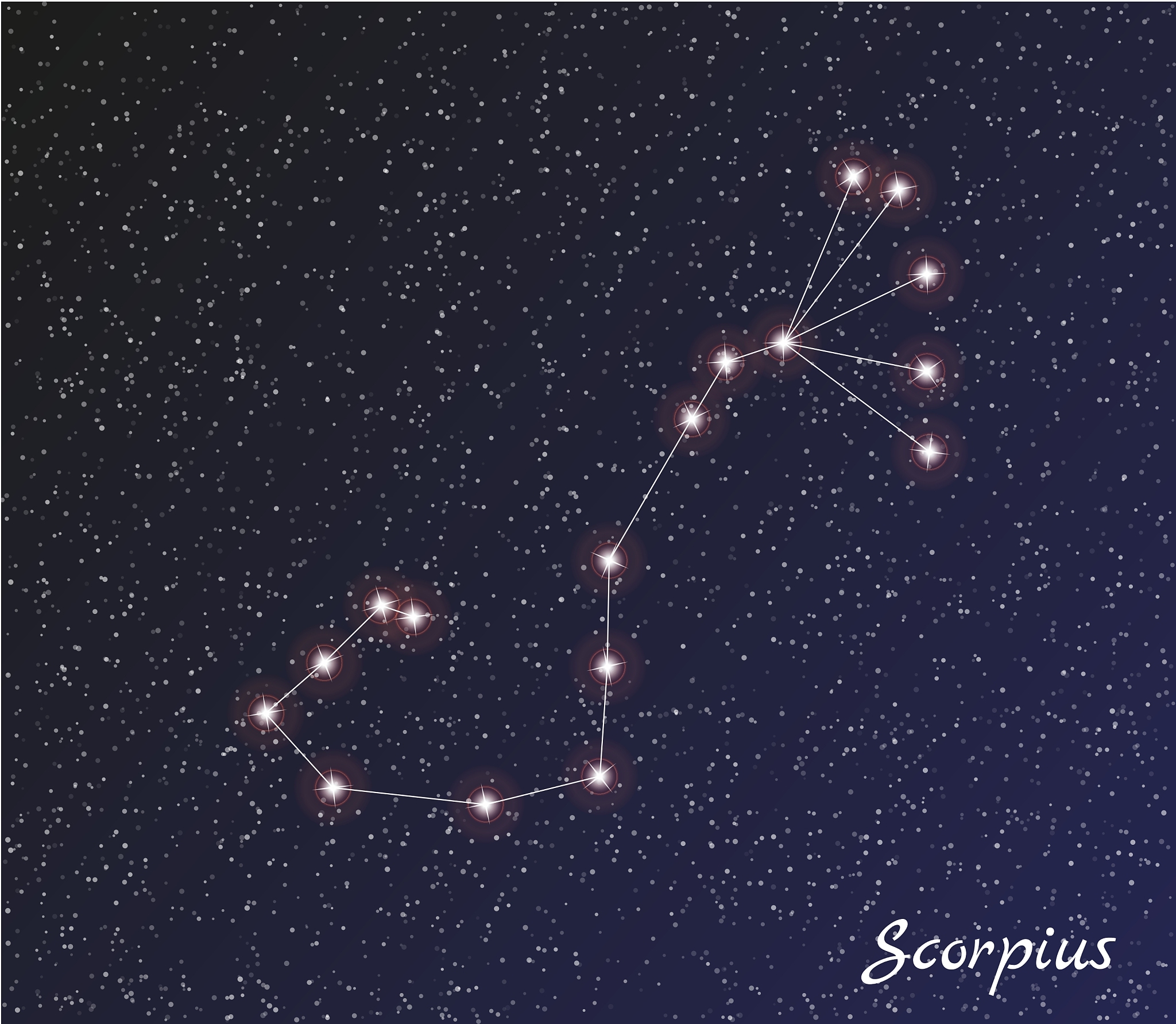 美国星座签名：社交媒体上的个性表达