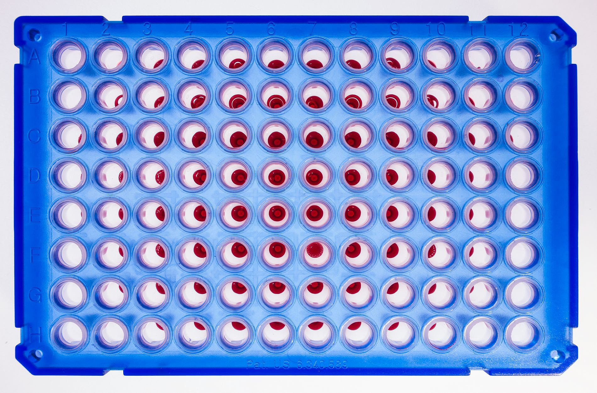 LWT - 食品科学与技术：稿件类型与投稿指南