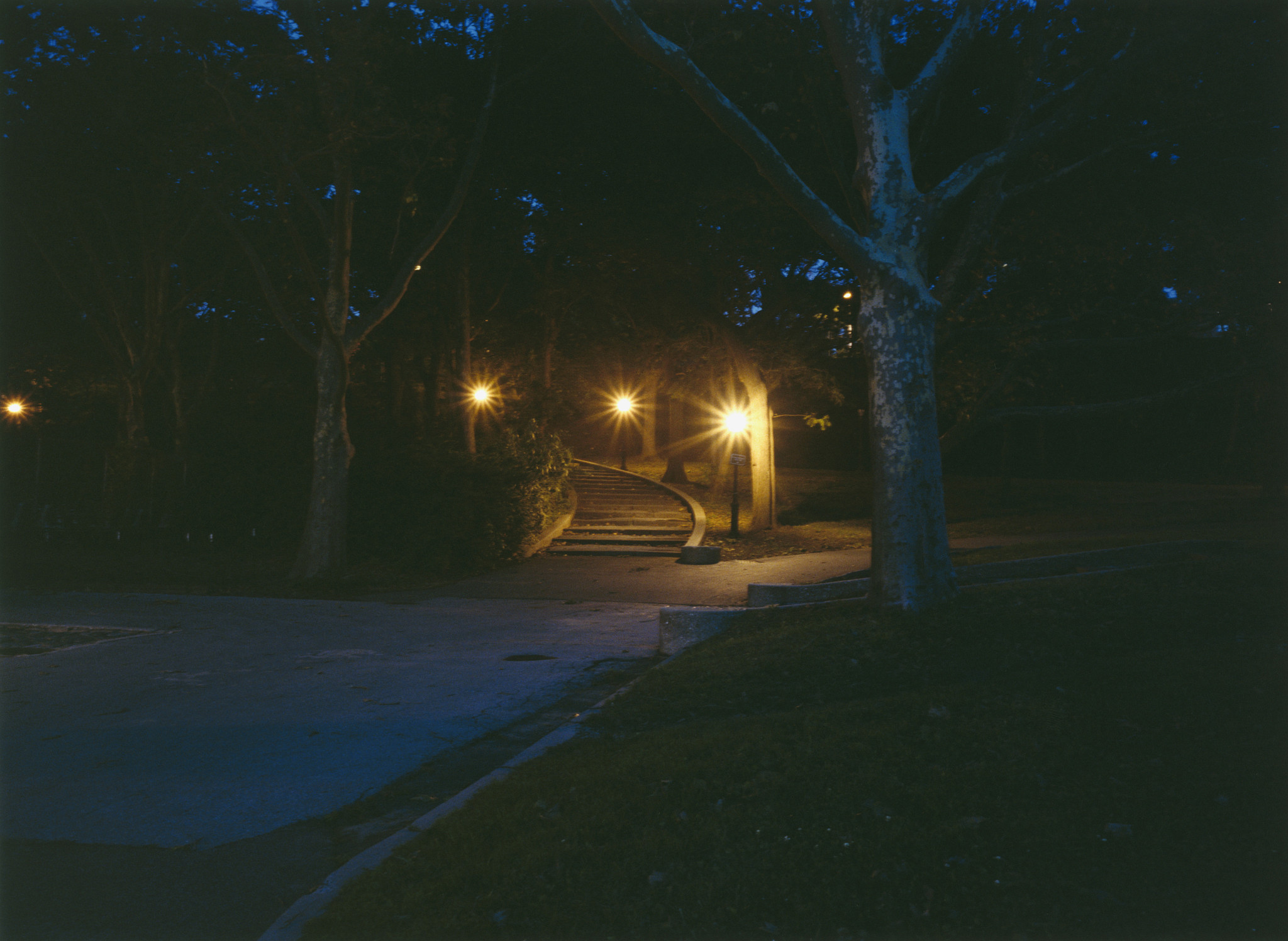 central park at night