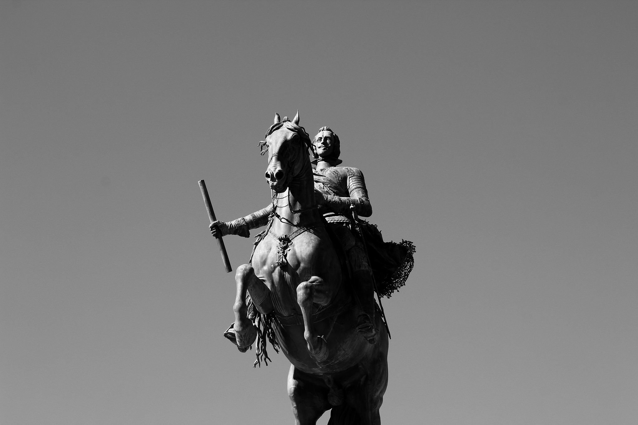 royal jockey