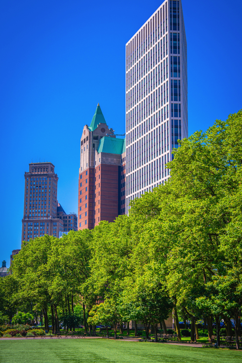 纽约有什么大学