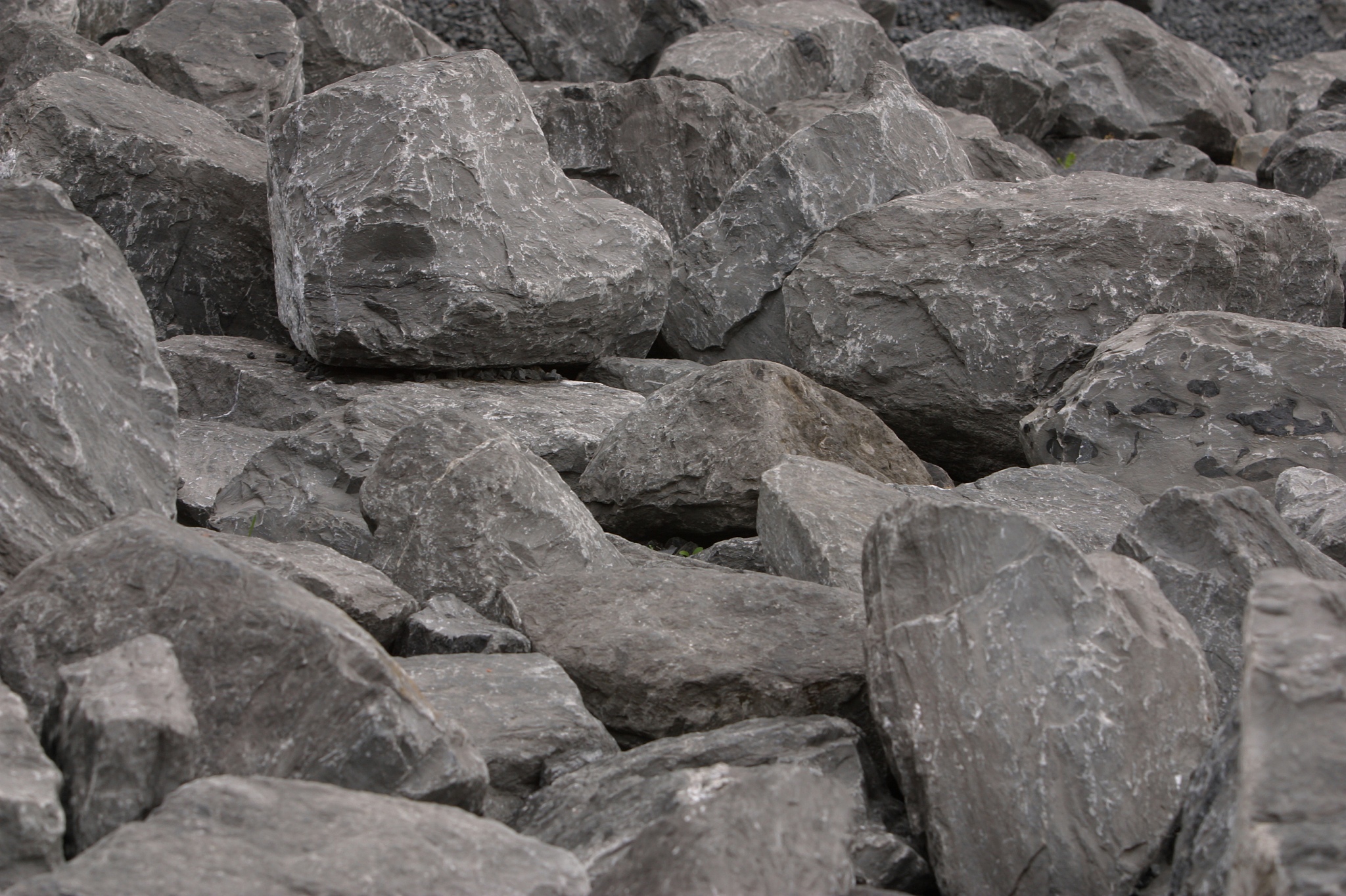 写一篇增碳剂文章语言要专业化