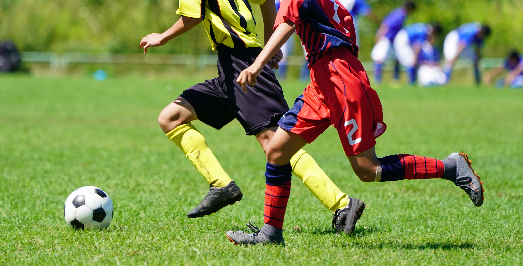soccer