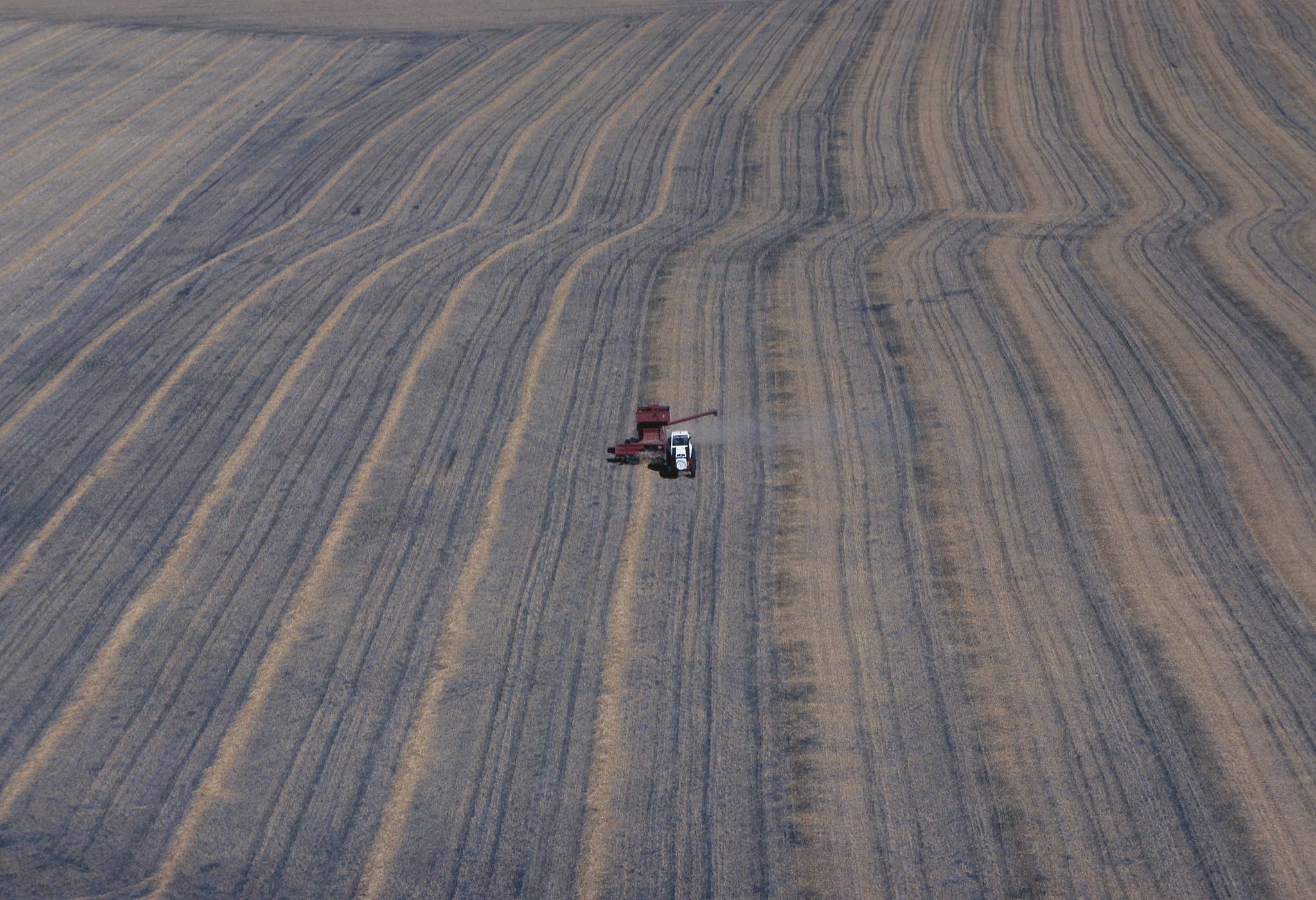 帮我润色：结果表明干旱、平水及湿润年型下分别在冬小麦播种、拔节、开花期灌溉75mm为适宜华北平原冬小麦高产、节水的灌溉措施。