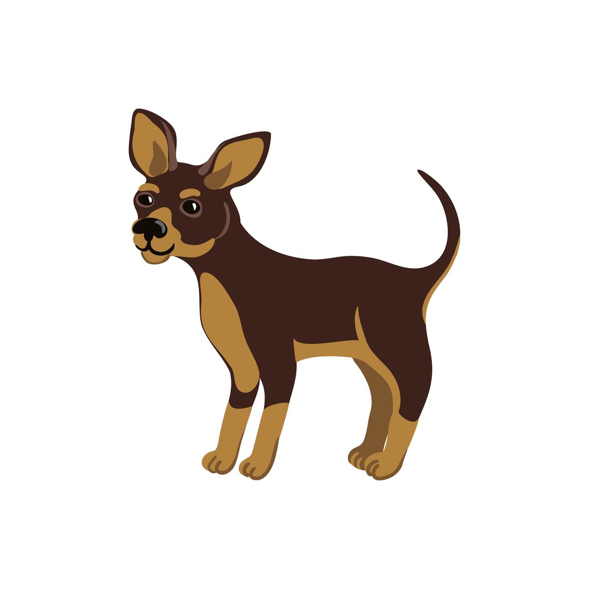 西翔航空学院2019-艺术设计定制班