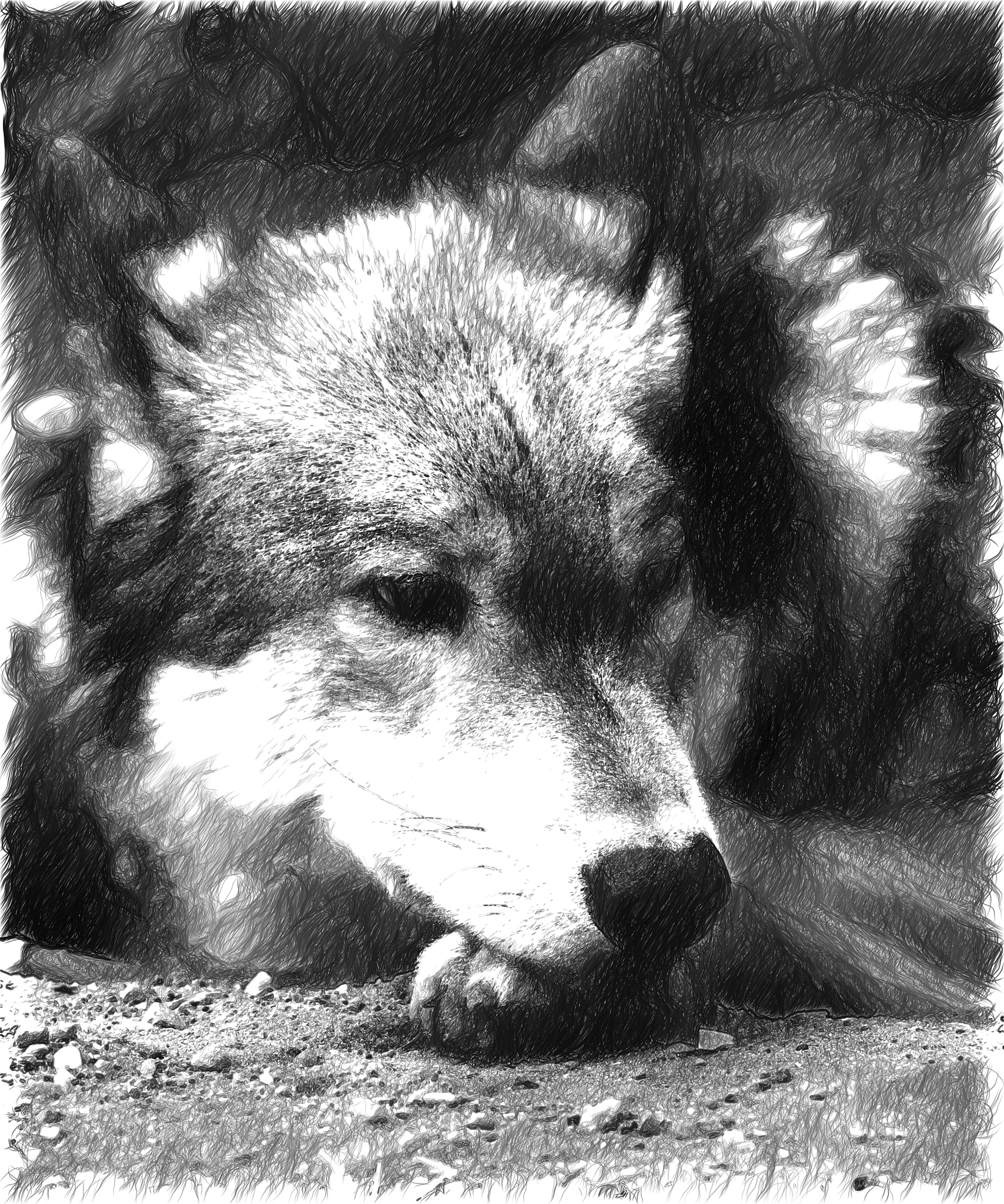 网狼2手游更新日志