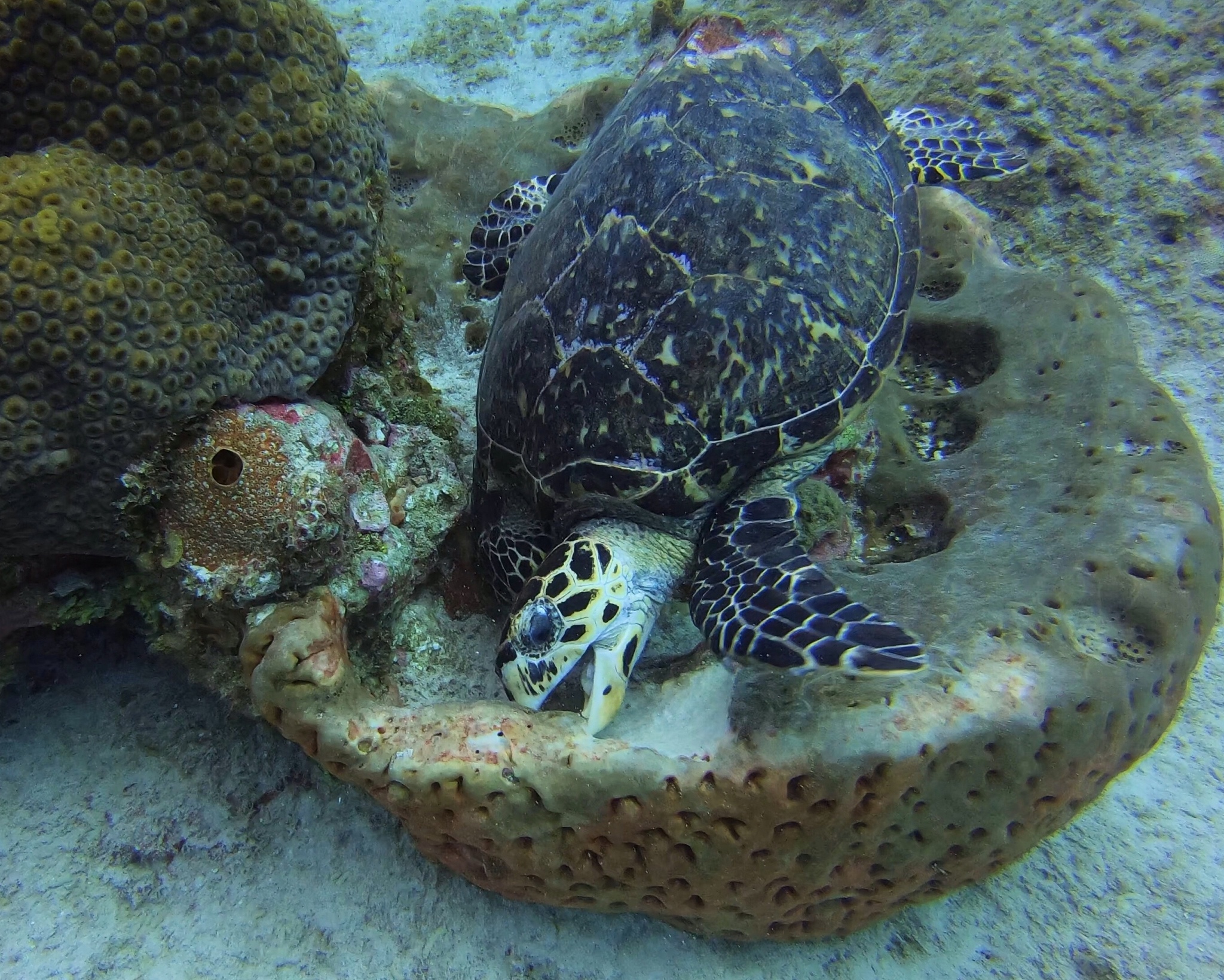 宁波海洋职业技术学校2022年有哪些专业