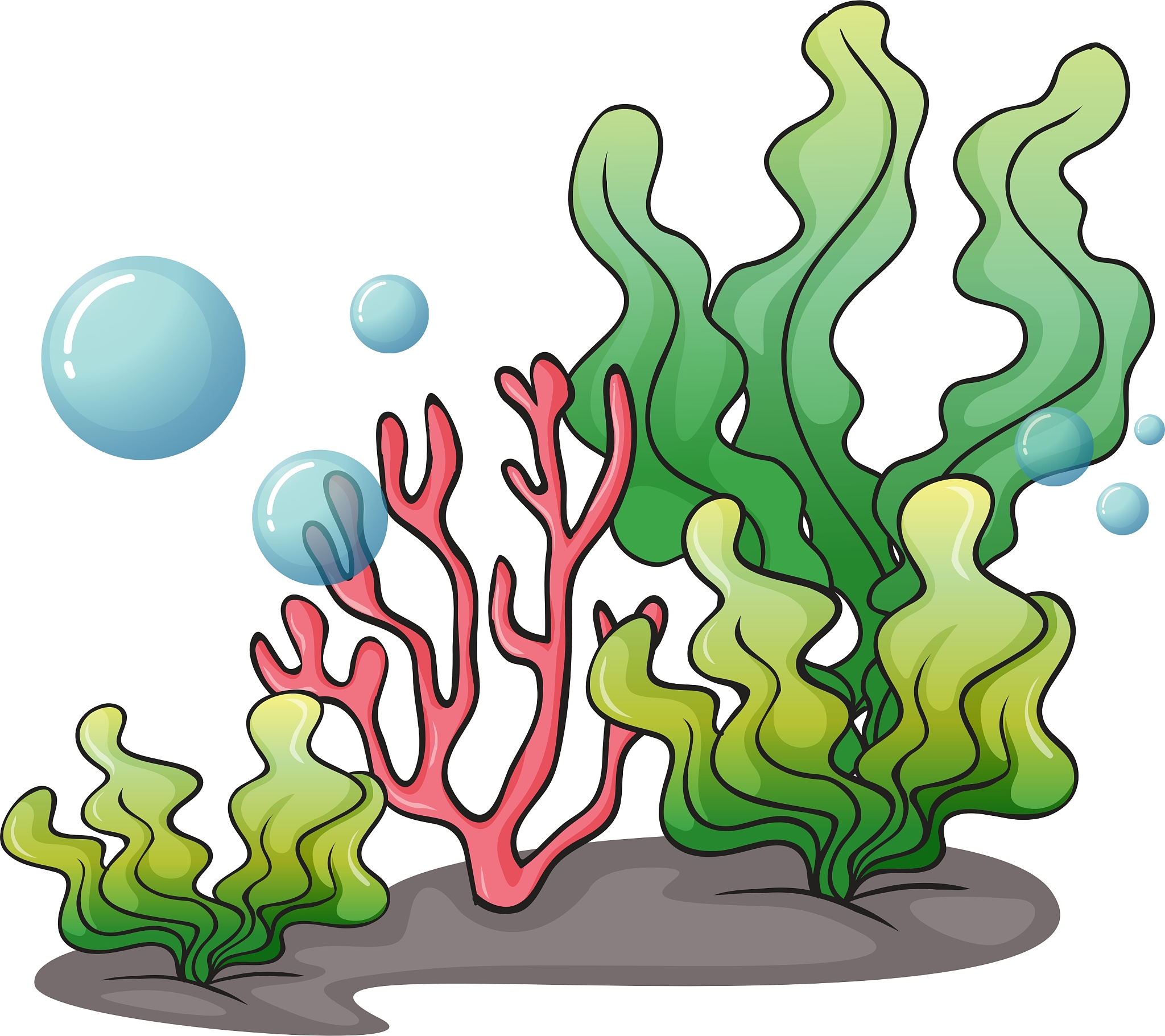 海洋,<strong>海草</strong>,在下面,分离着色,白色,自然,图像,植物群,茎