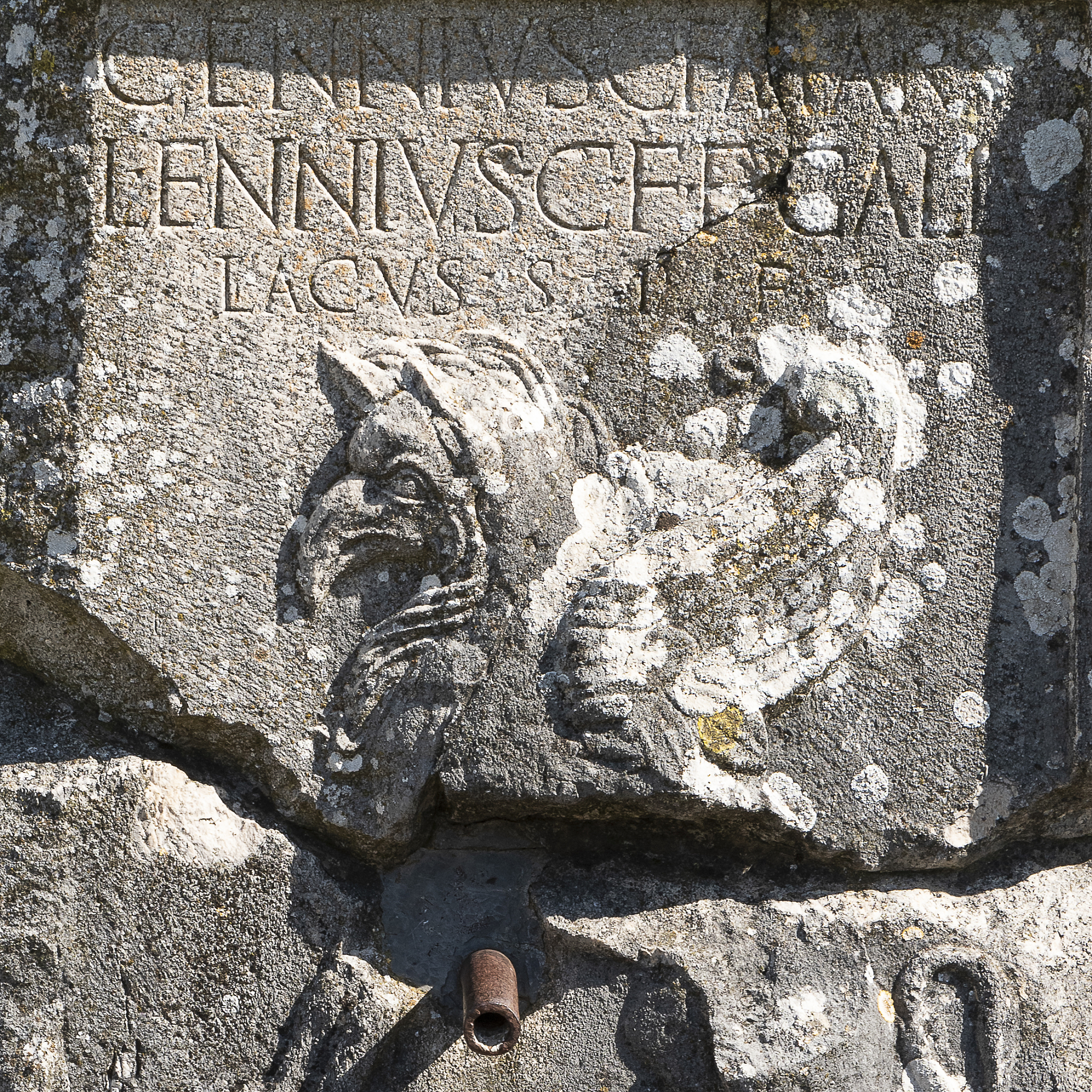 电影‘我的1919’中是否有蒙太奇手法？