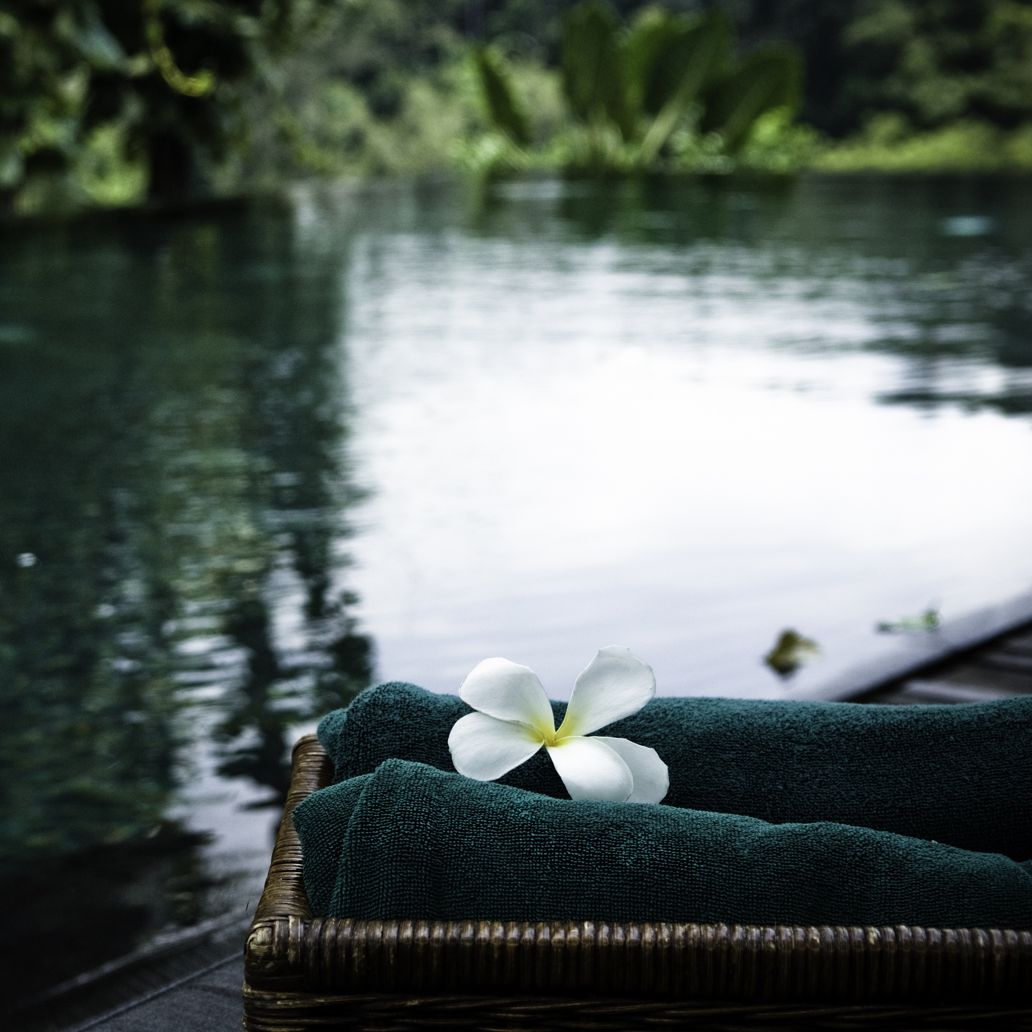 追求这一境界我们一方面要学会适当地消解过多的物质欲望而另一方面还要创造更多的机会以回归和亲近自然接受大自然的怀抱和书香的陶冶。在纯净的大自然和崇高的文字间日益膨胀的物质欲望与急功近利的狂躁之心会逐渐被忘却和平复我们的心也会在美的境界中逐渐崇高。因为欲望之多索取无厌的人生是痛苦的而生活的最高准则就是简单而安宁如同大自然一样。在大自然的怀抱里放空自己释放万重枷锁下的灵魂洗涤心灵的凡俗杂质与浮华、喧嚣告