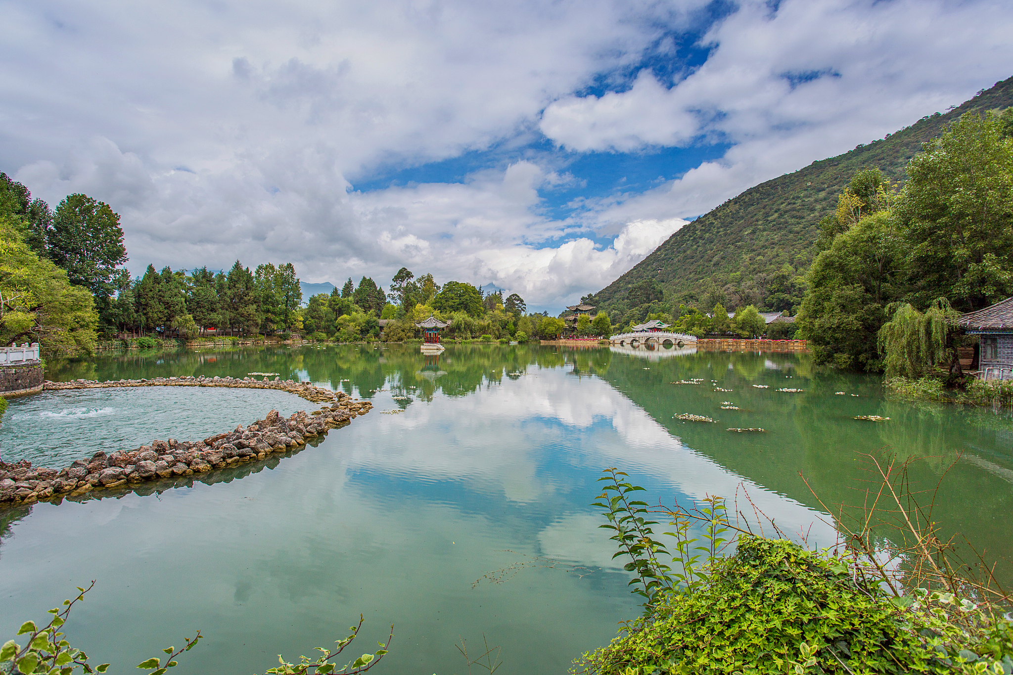 行走的绿意：旅途中的多彩风景