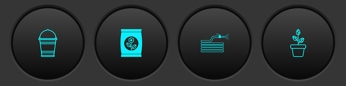 香蕉皮变废为宝！自制花卉肥料，简单易学！