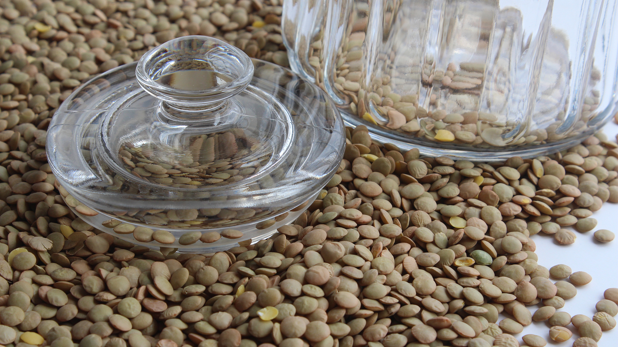 遵义医药高等专科学校中药专业怎么样