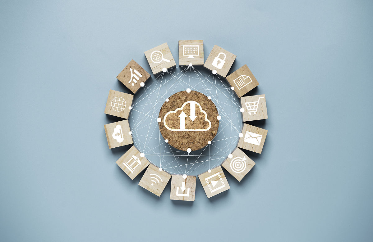 子洲县F公司黄芪产品市场营销策略优化研究：国外文献综述