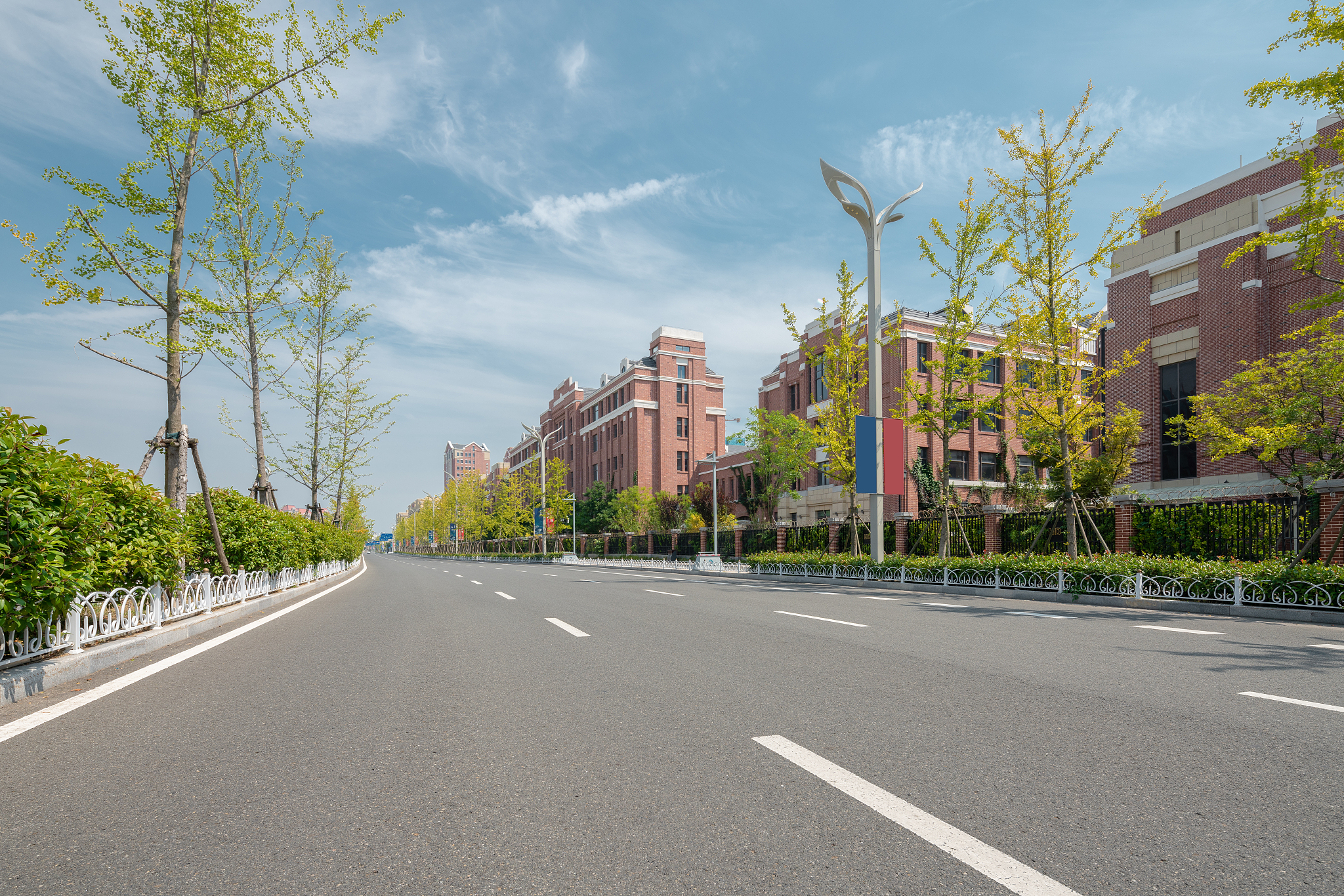 安徽铜陵西湖新区市政道路绿化带景观设计研究