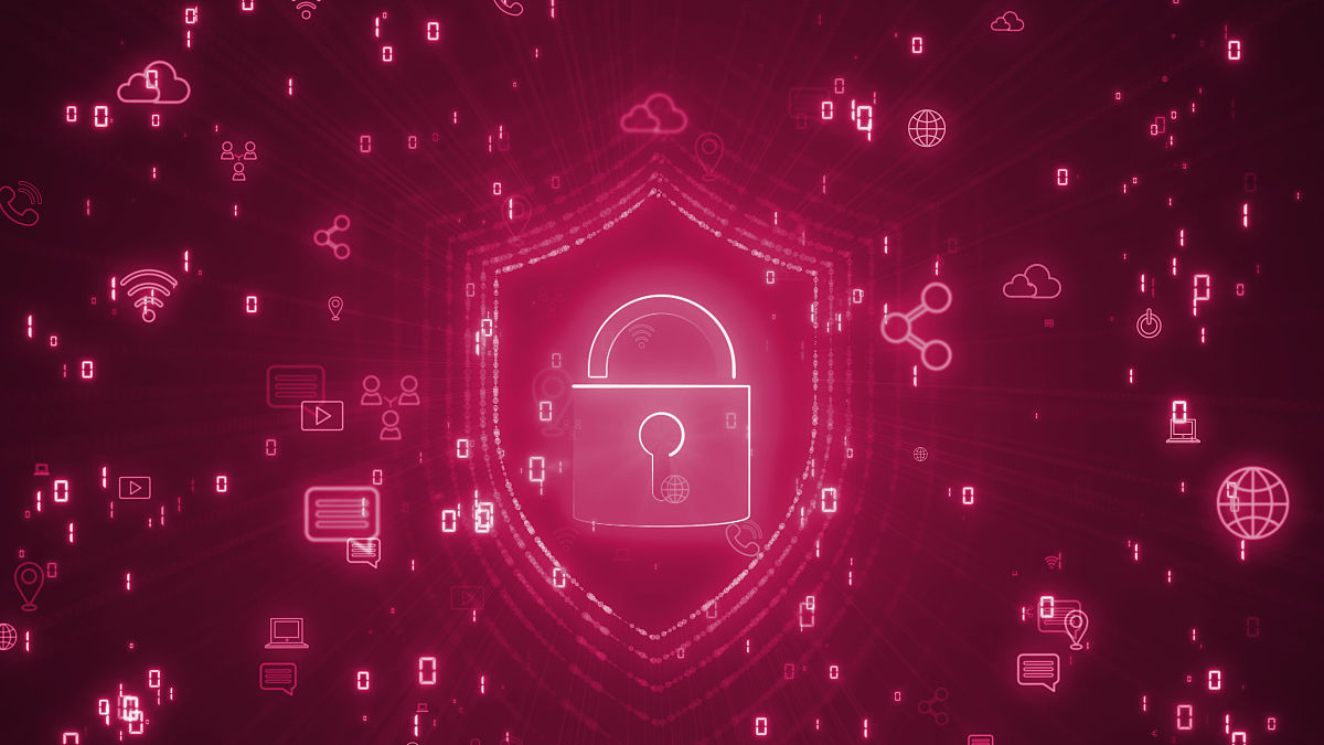 石家庄校园惊现'狼群'? 揭秘视频背后的真相让人震惊!