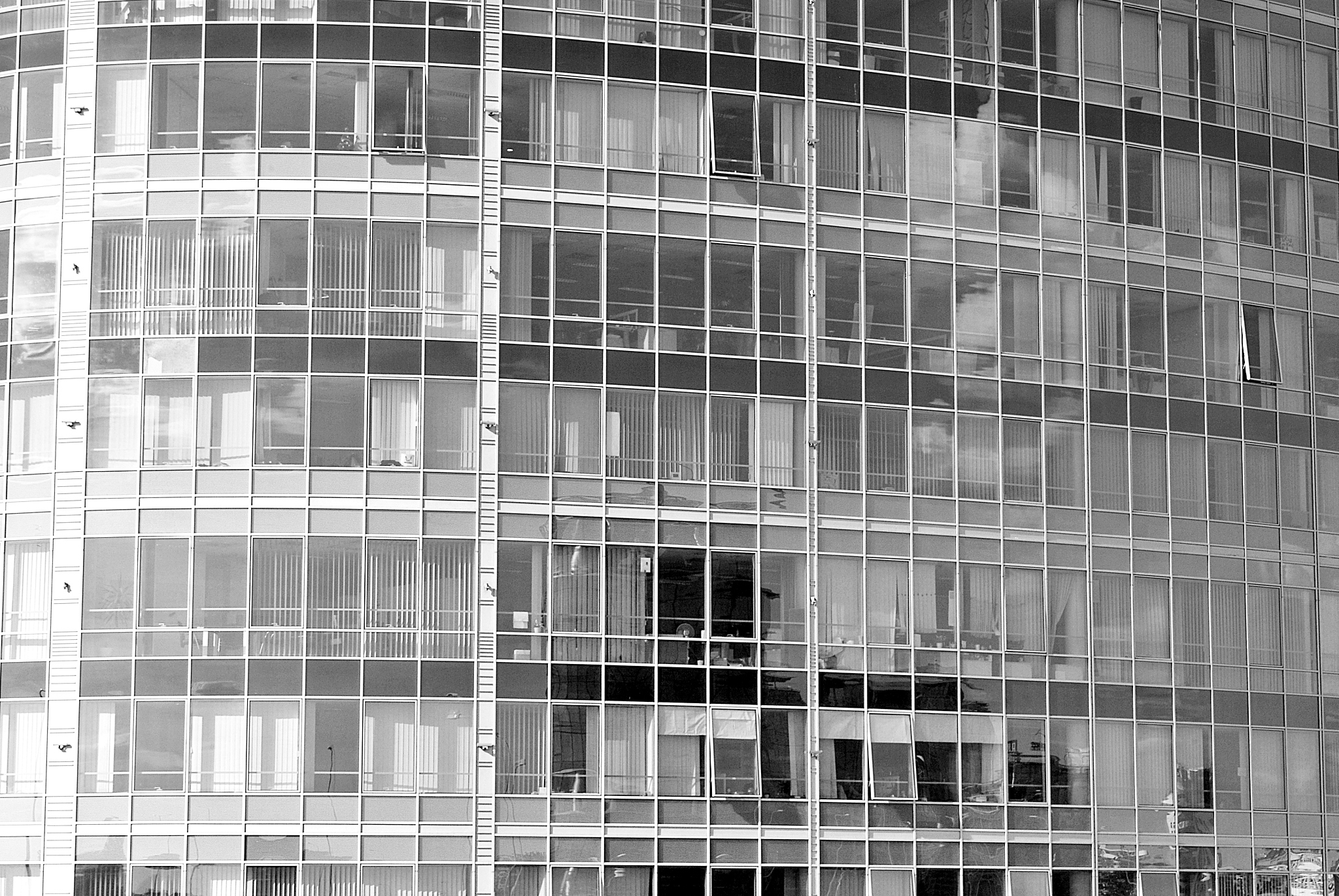 modern building. modern office building with facade of glass. bl