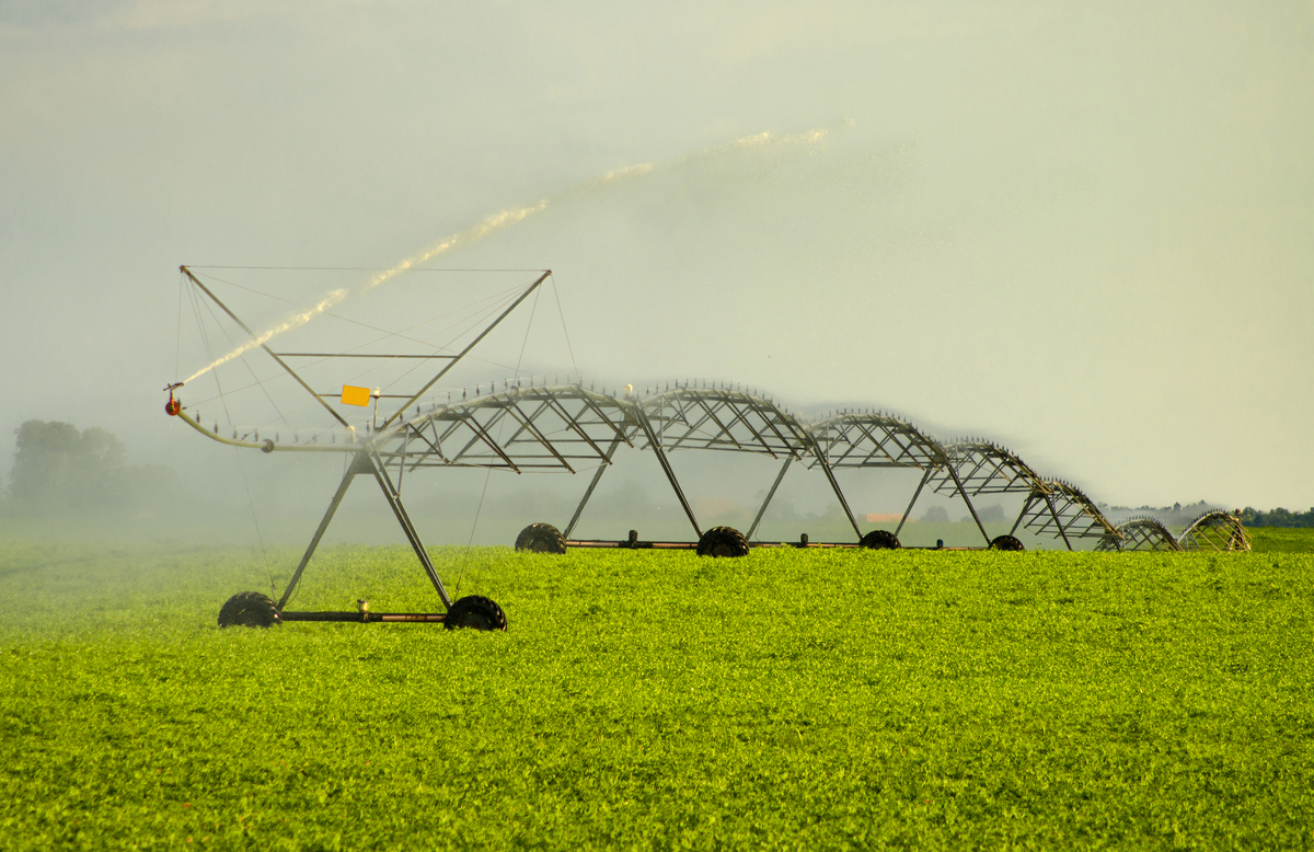 生物防治：现代农业可持续发展的关键