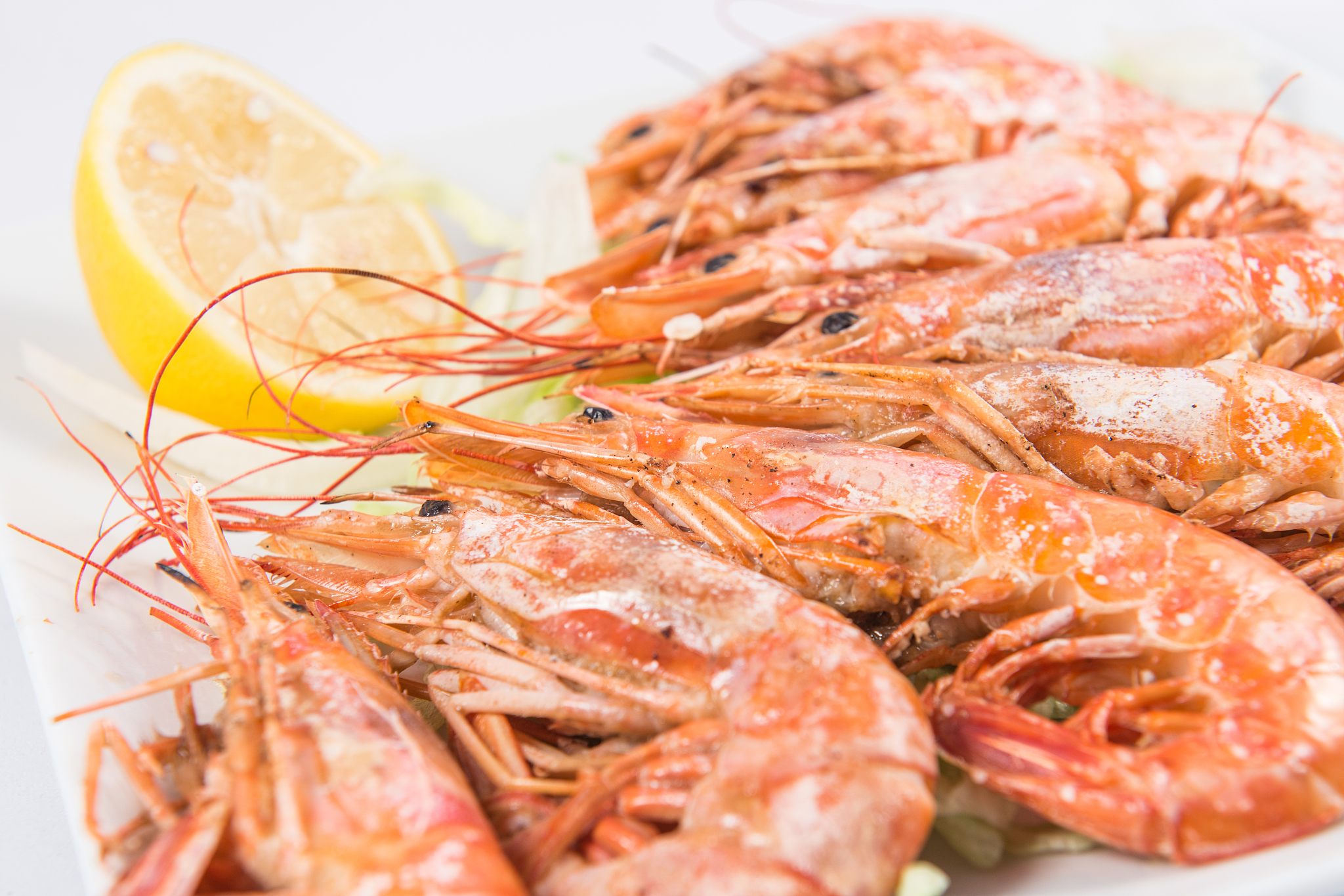 江西农业大学食品质量与安全专业怎么样