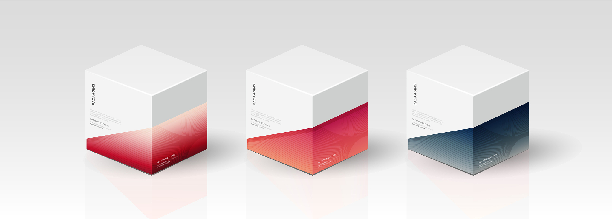 box packaging template for product design