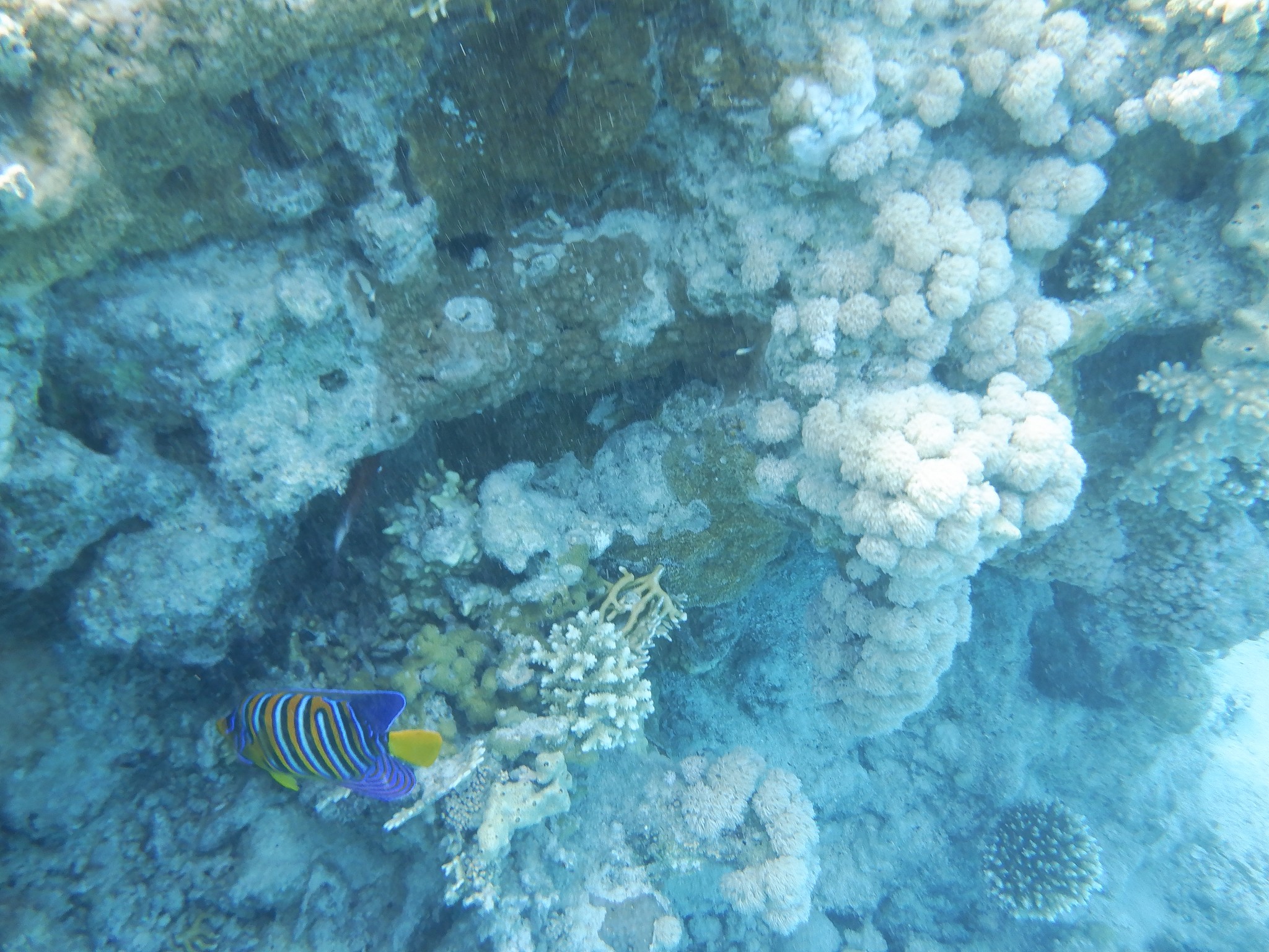 Ocean Cleaning Yields Pristine Sea Surface