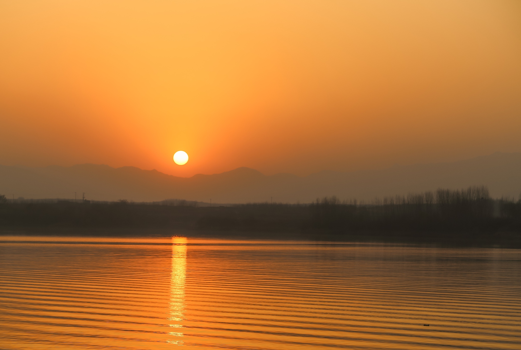 日译中：夕阳染红的悲伤与爱