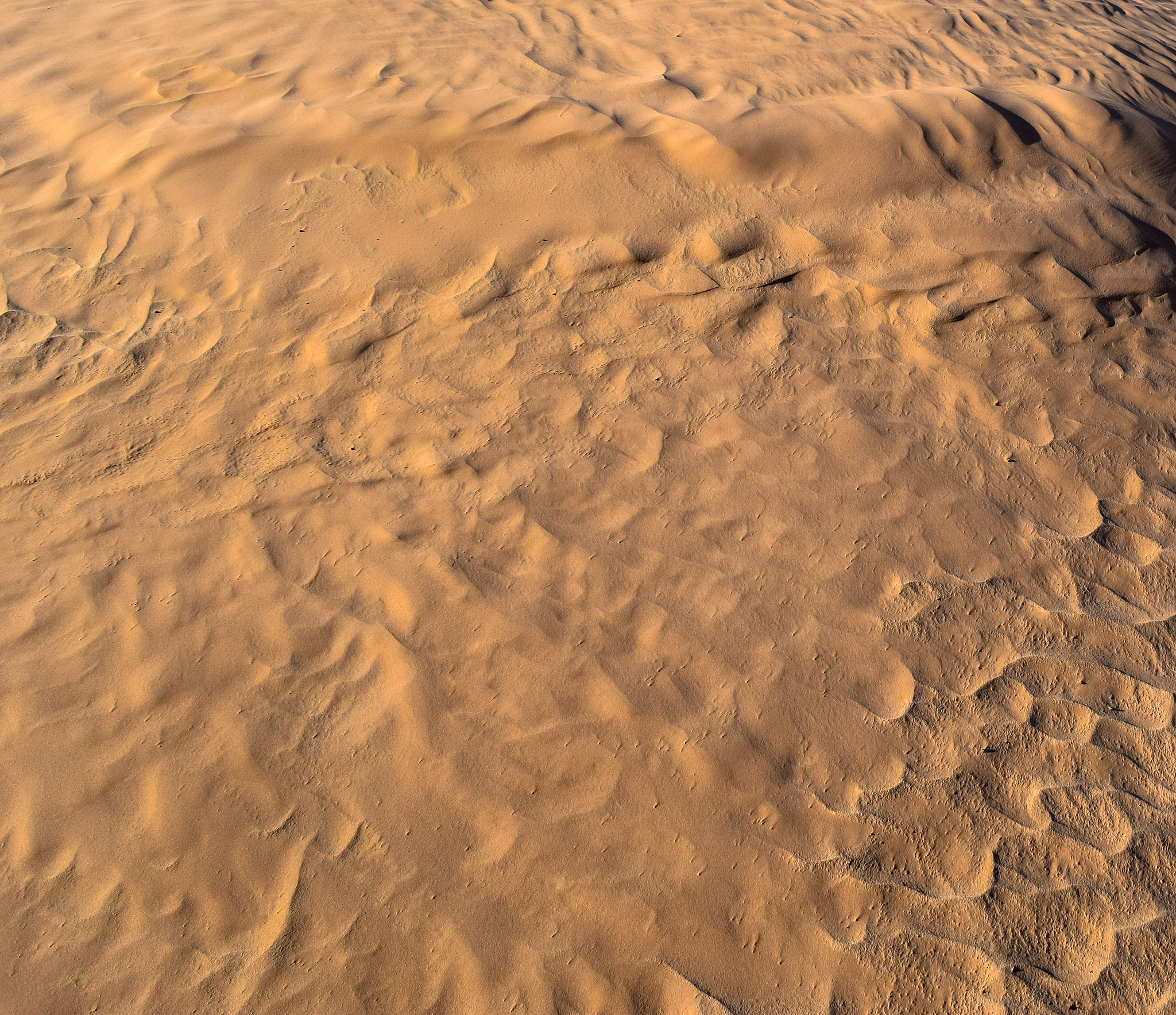gold color desert and golden sands of sahara. texture, wallpaper