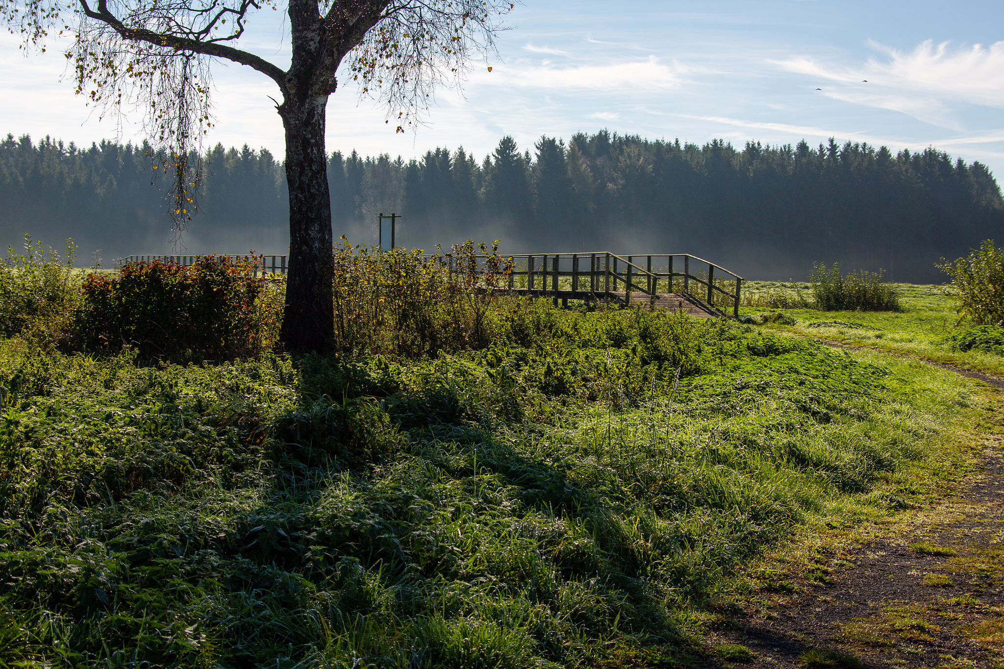 河南农业职业学院植物保护专业怎么样