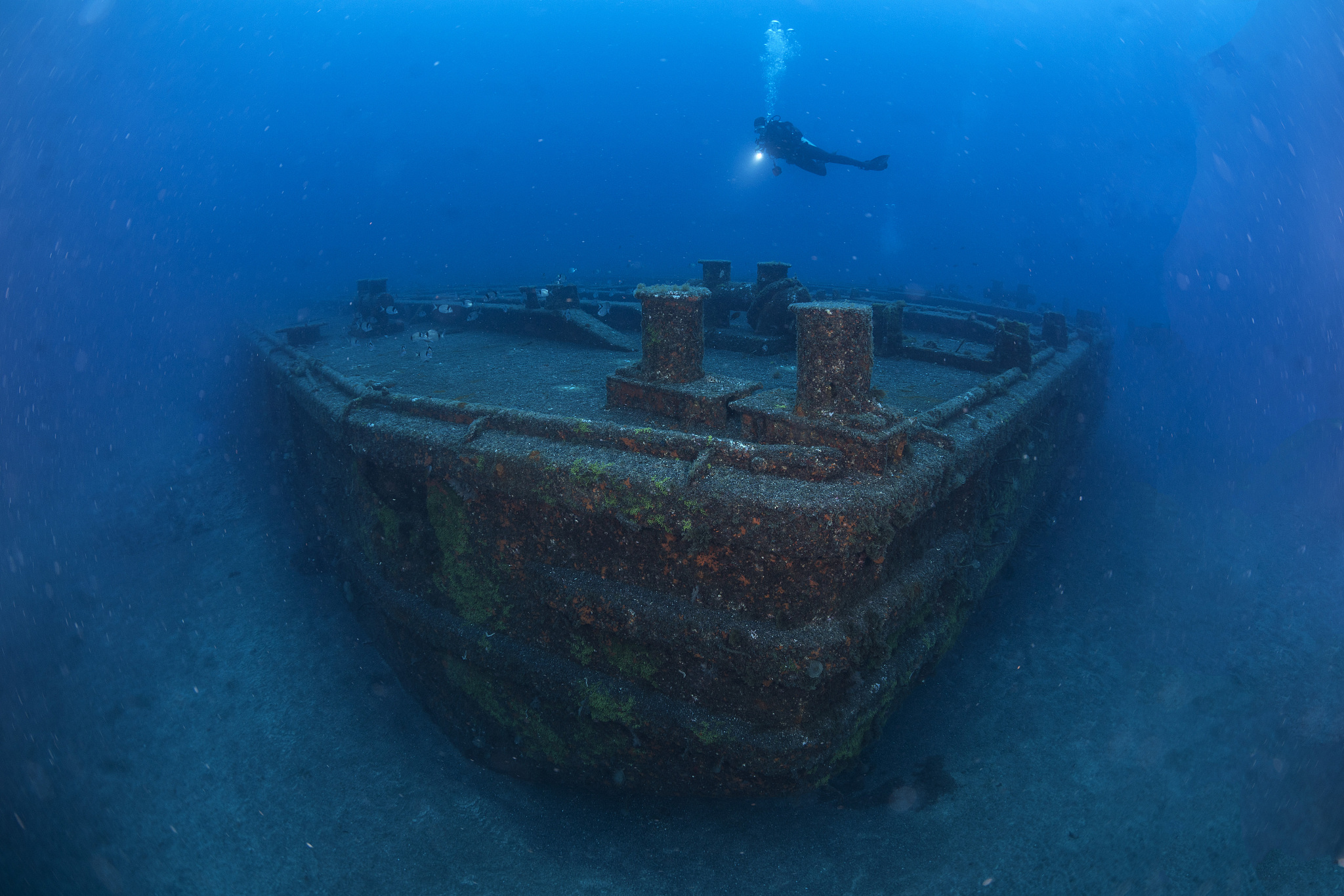 scuba diver above a shipwreck