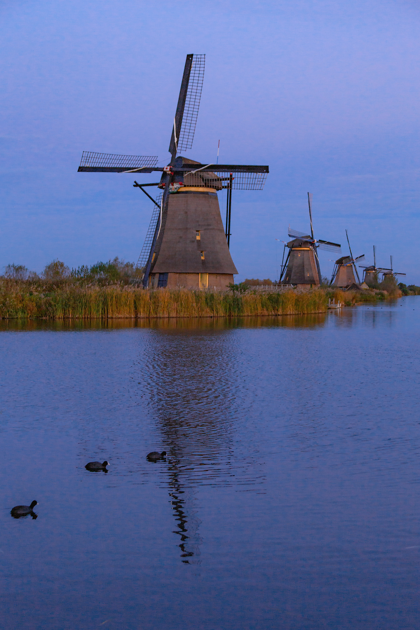 the sunset view of traditional dutch windmill in kinderdijk, net