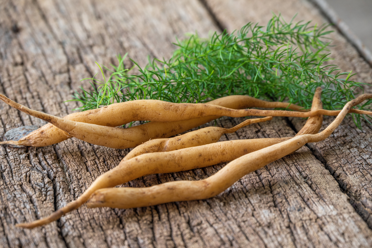 太子参禁忌食物大全：哪些食物不能和太子参一起吃？