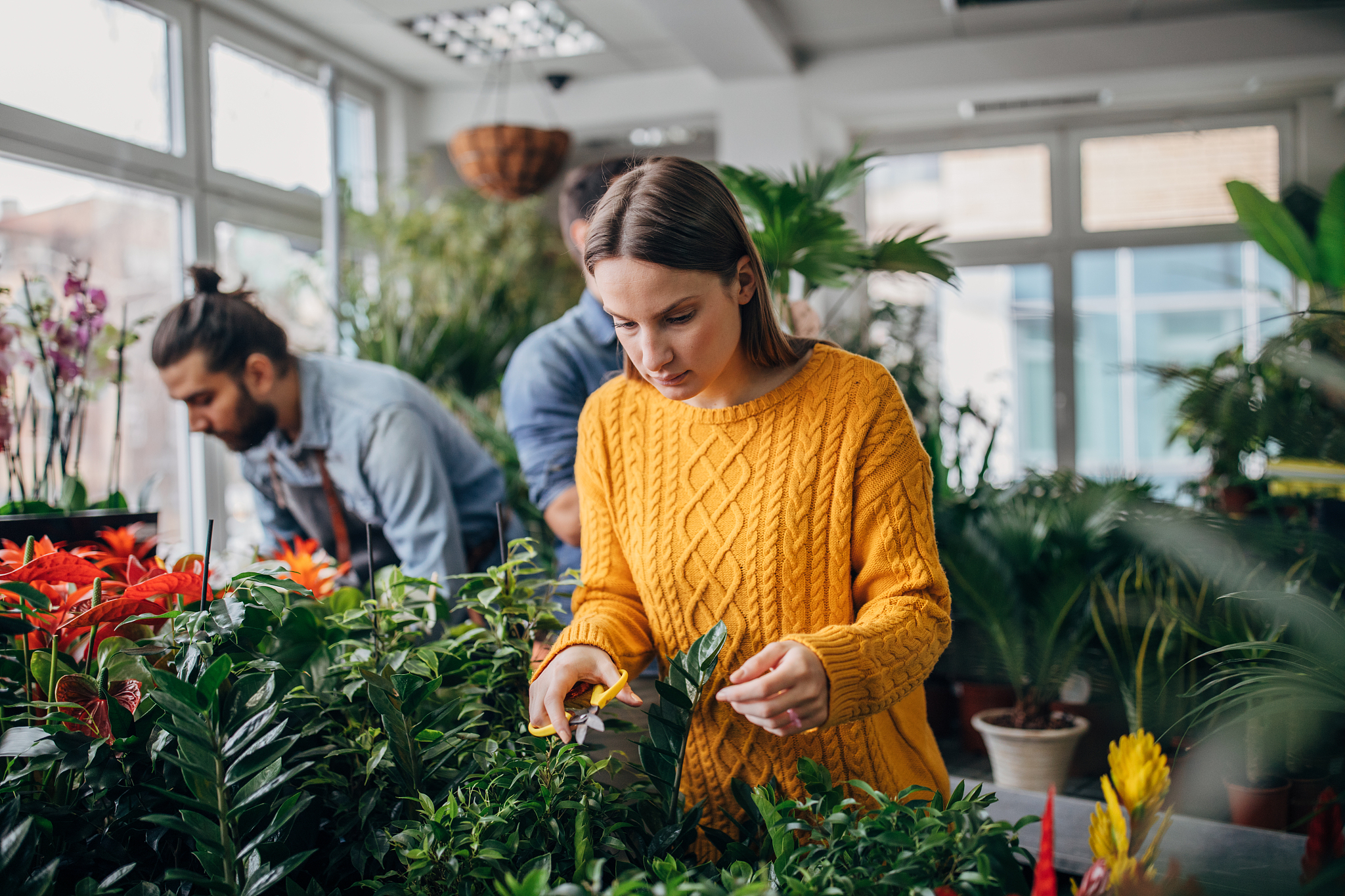 people at the flower shop looking at flowers