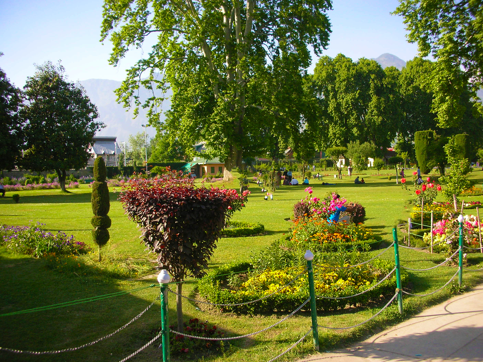 辽宁林业职业技术学院园林技术专业怎么样