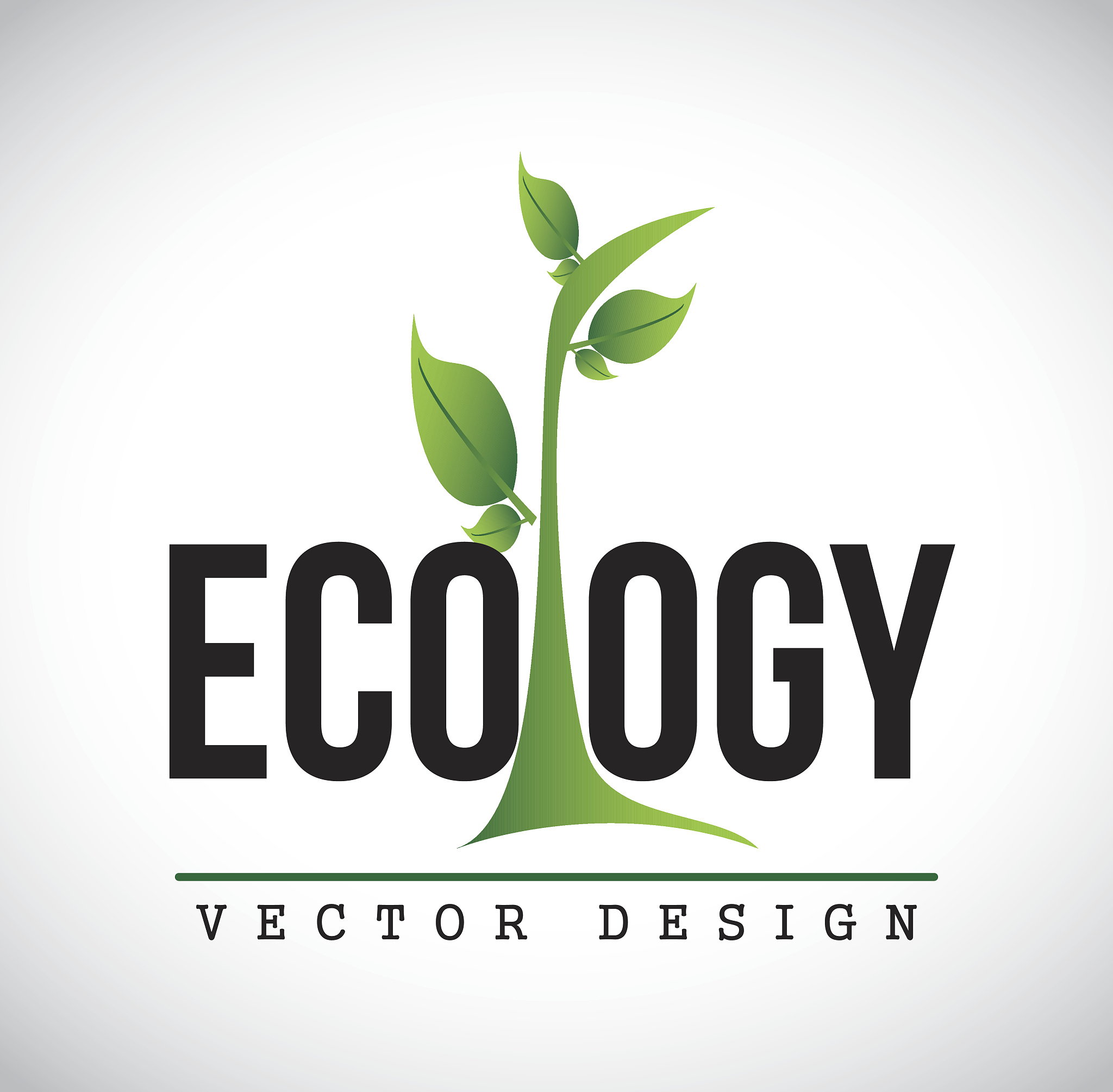 eco design
