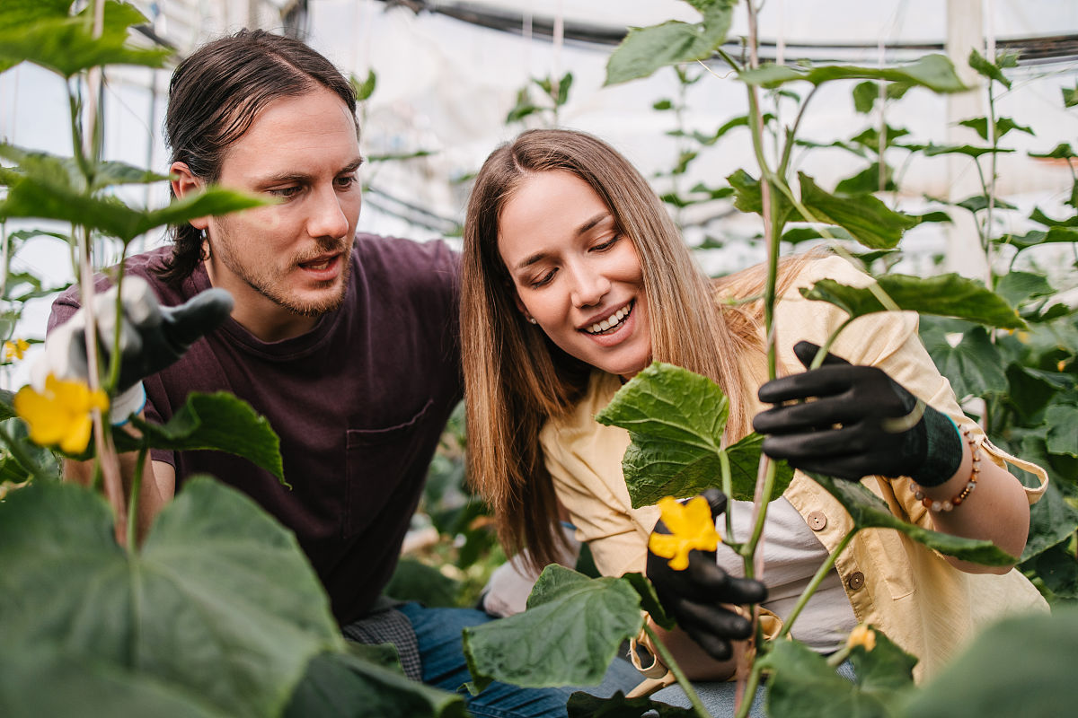 广西农业职业技术学院投资与理财专业专业就业方向有哪些