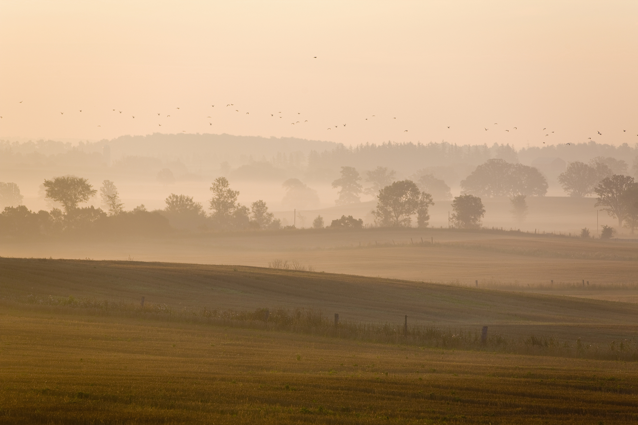 长春档案数字化公司_专业档案扫描、整理、存储服务