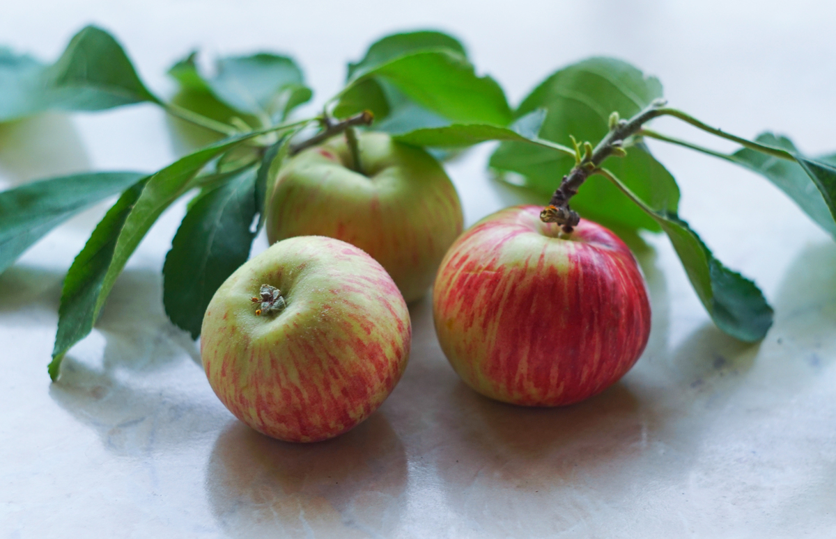 苹果是什么季节的水果 水果苹果怎么弄才好吃