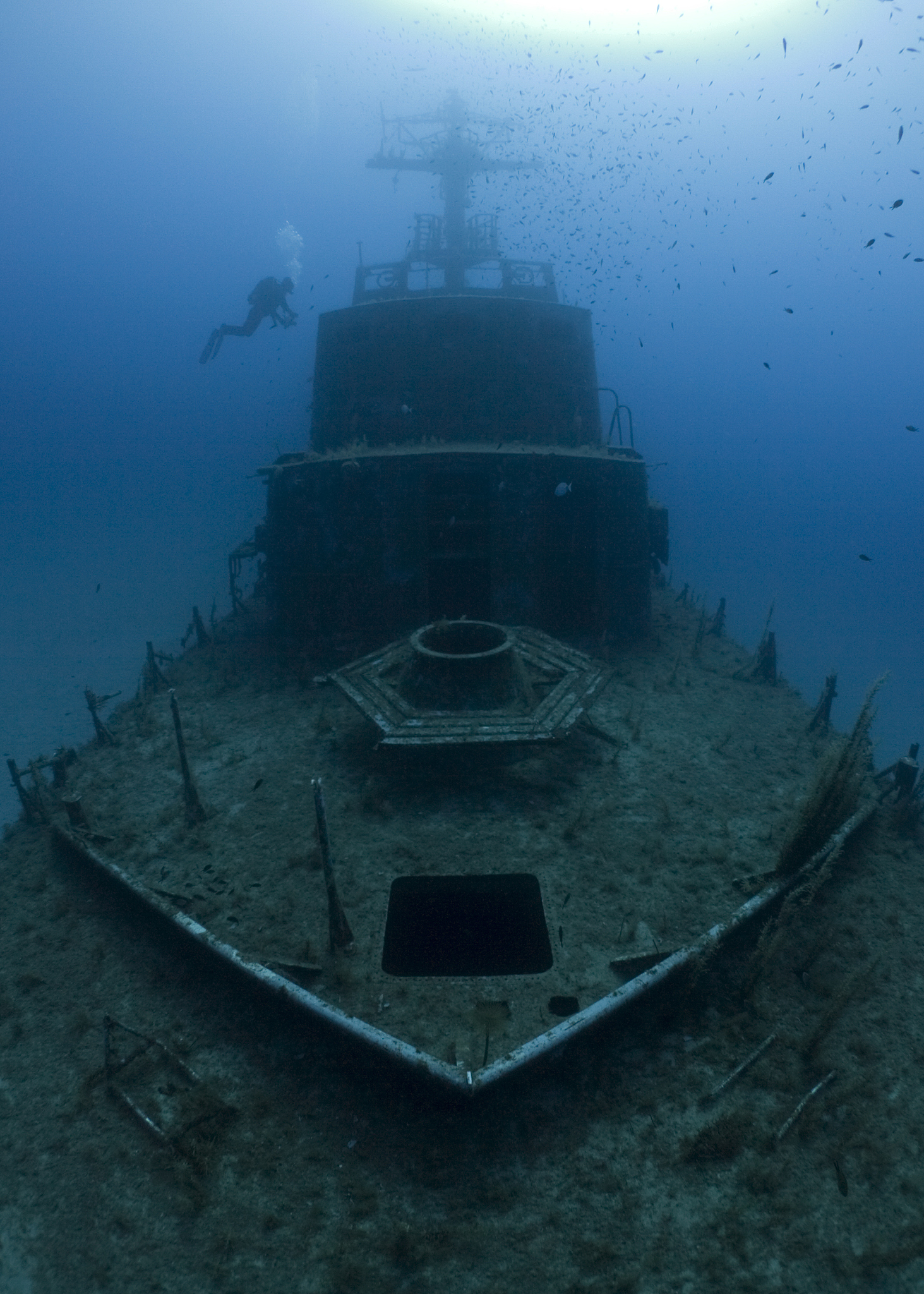 scuba diver around a shipwreck