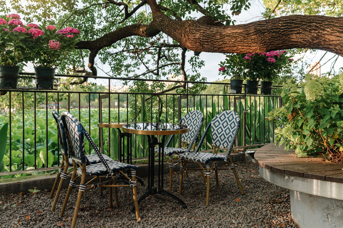 在小院里寻找夏天的乐趣赏花喝茶休憩享受舒适惬意的生活文案