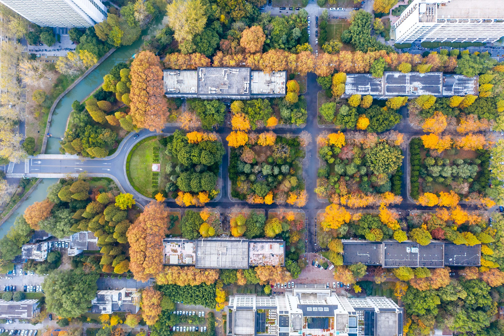 南京林业大学含金量