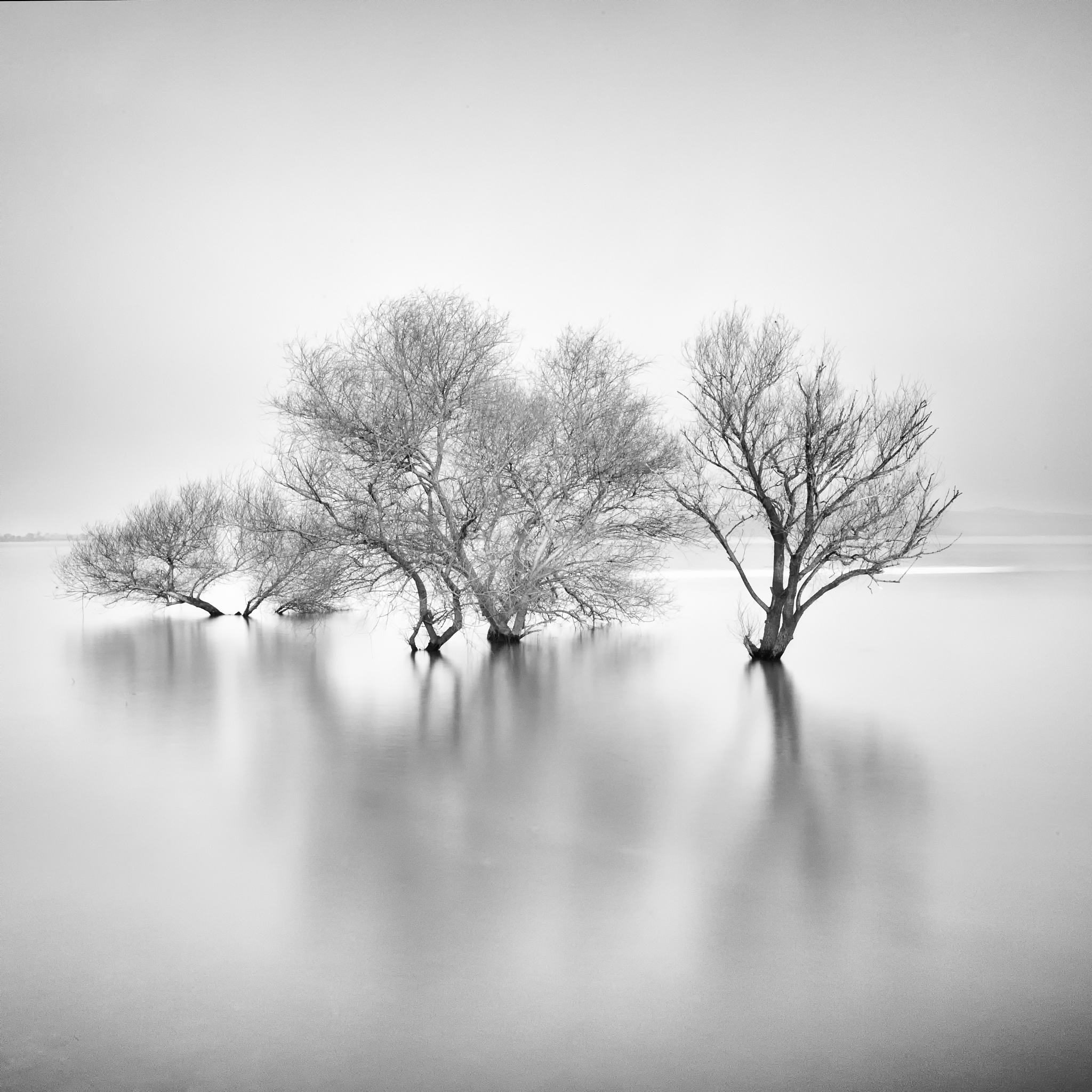 与沈字有关的意象